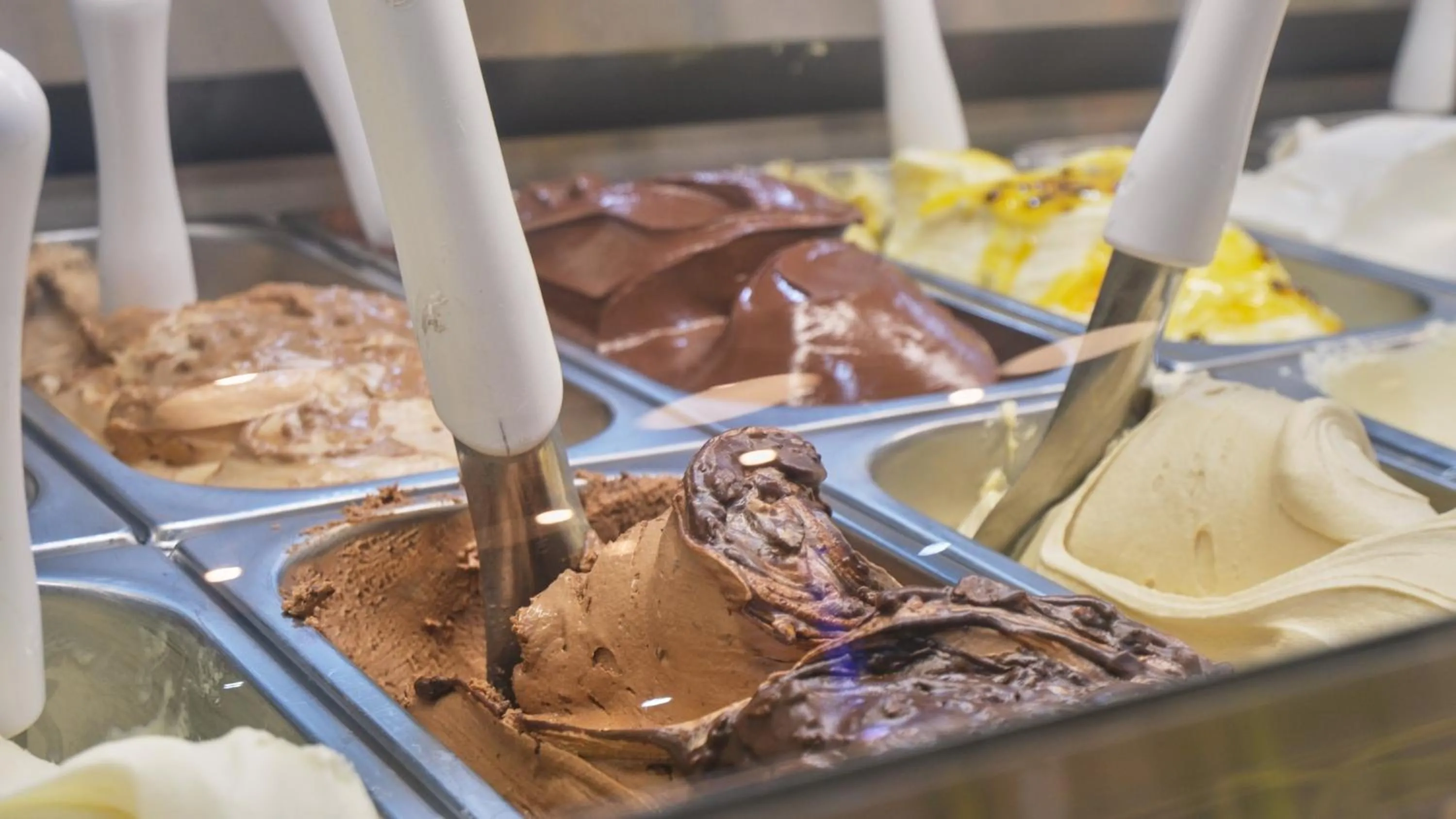 Restaurant/places to eat in Hotel Aloe Emira NKC