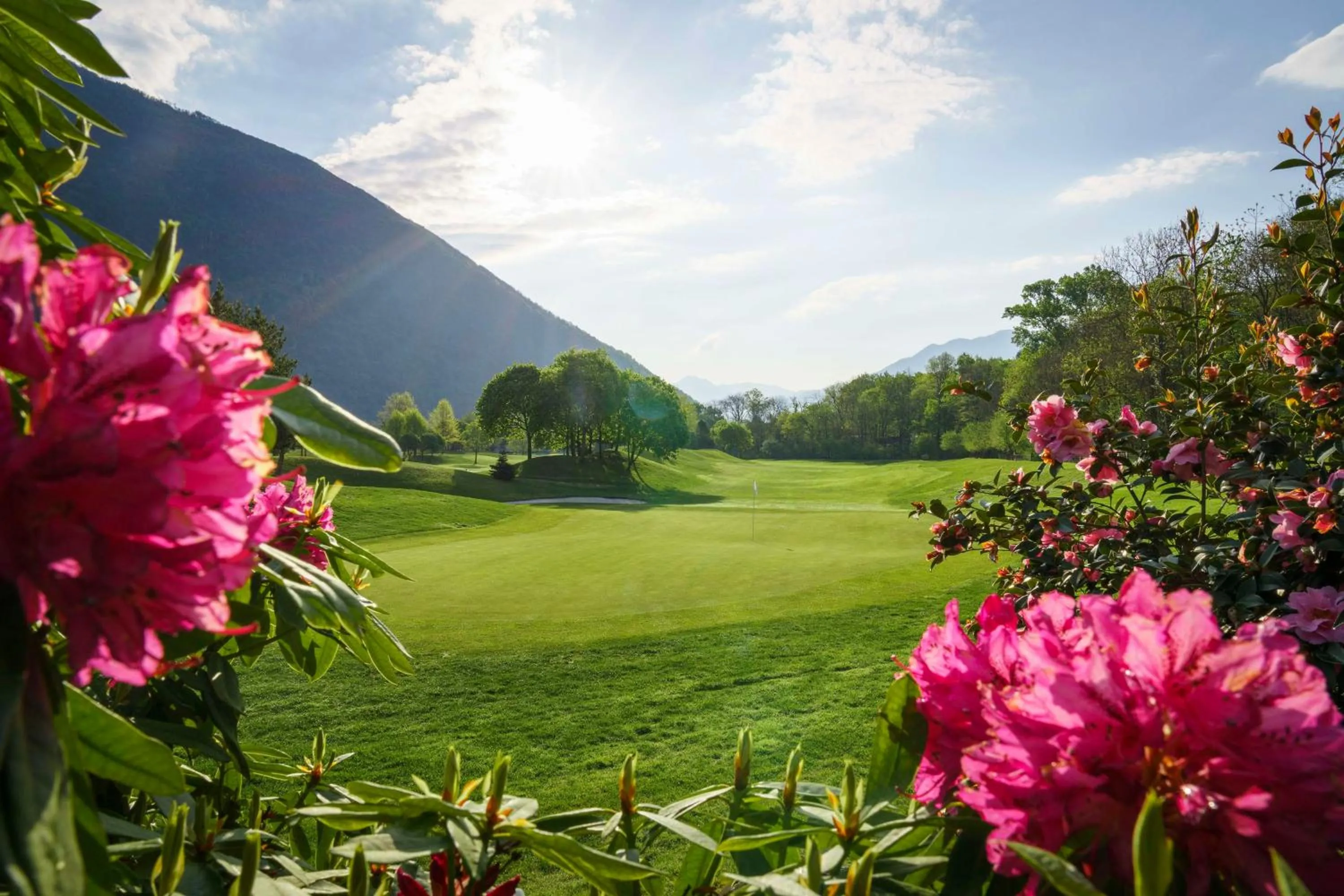 Golfcourse in Hampton By Hilton Locarno