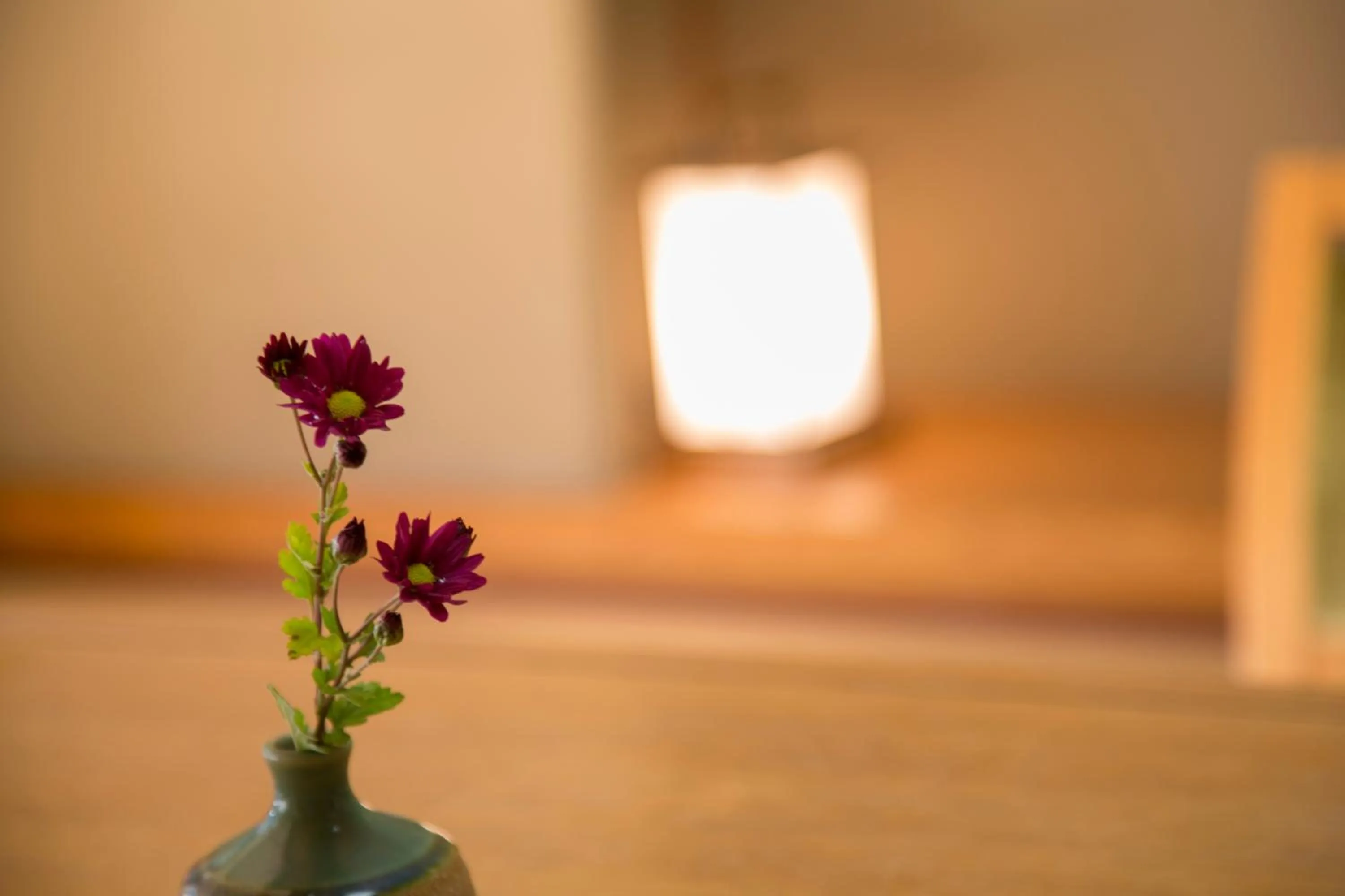 Photo of the whole room in Sansuikan Kawayu Midoriya