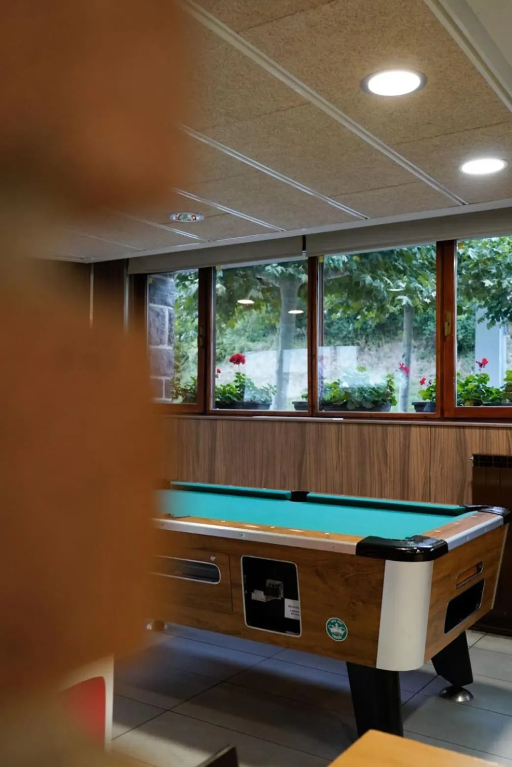 Entertainment in Hotel y Apartamentos SNÖ Isaba