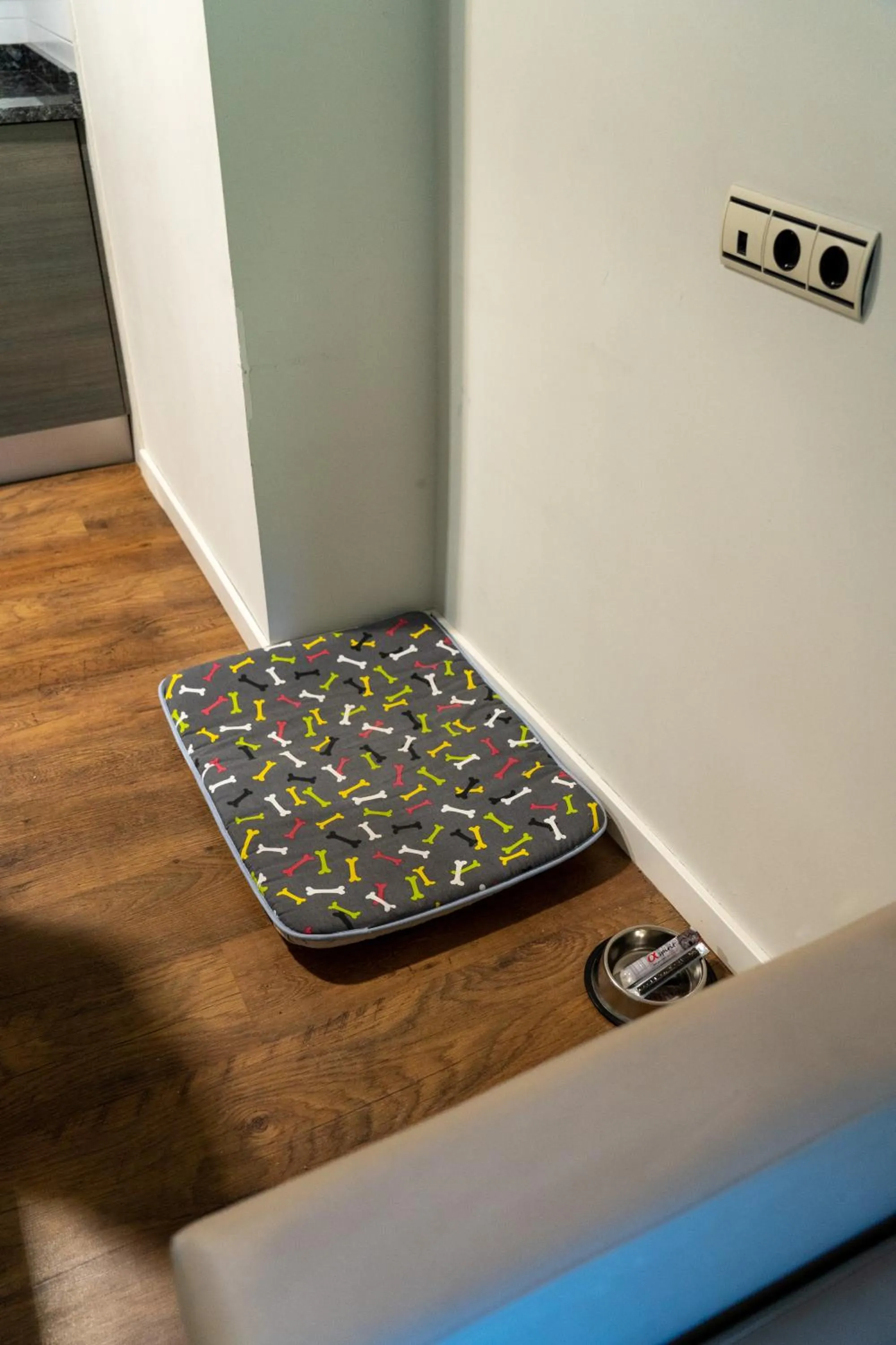 Pets in Hotel y Apartamentos SNÖ Isaba