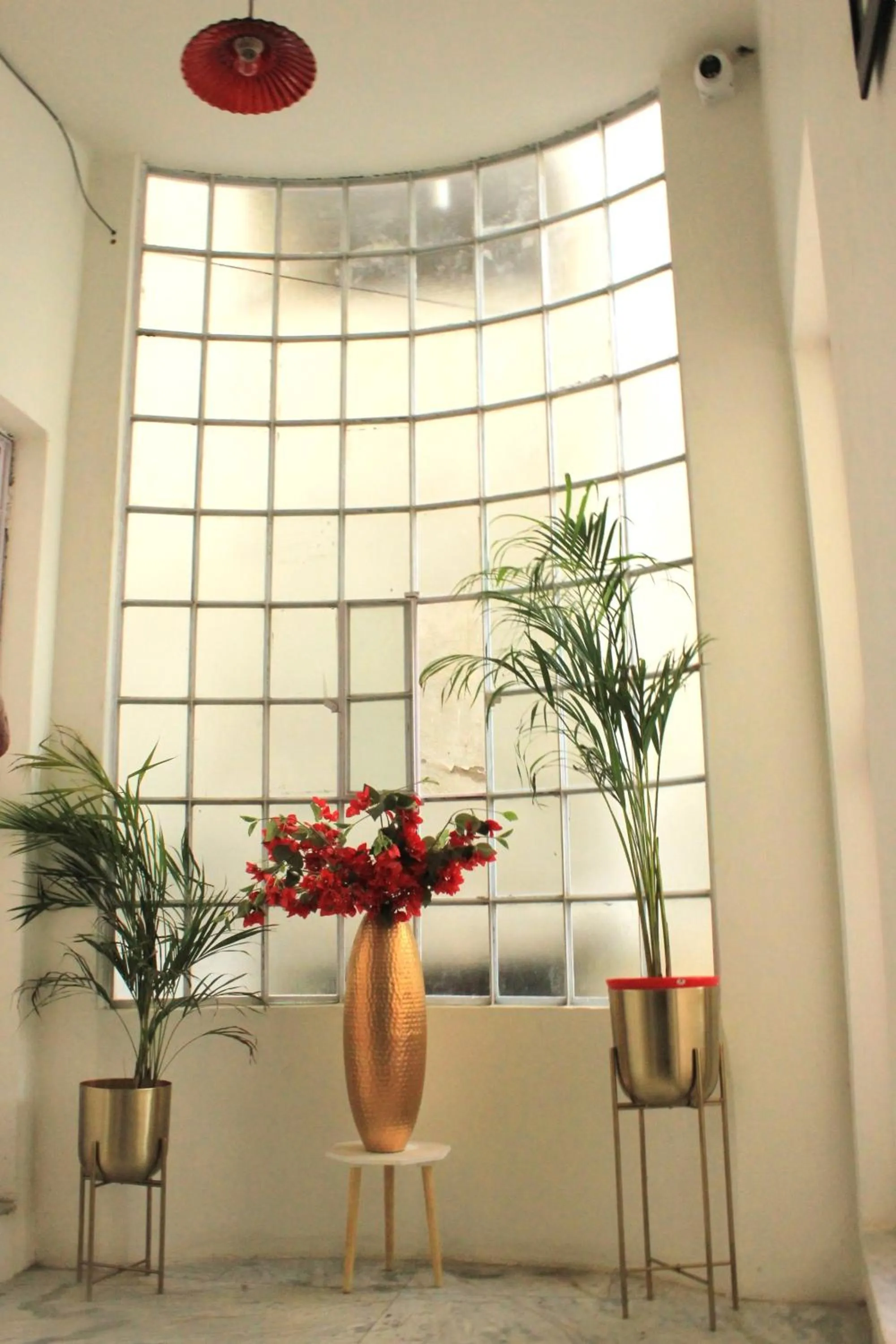 Property building in The Nandi International Boutique Stay