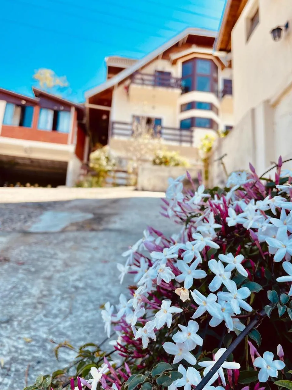 Maison France