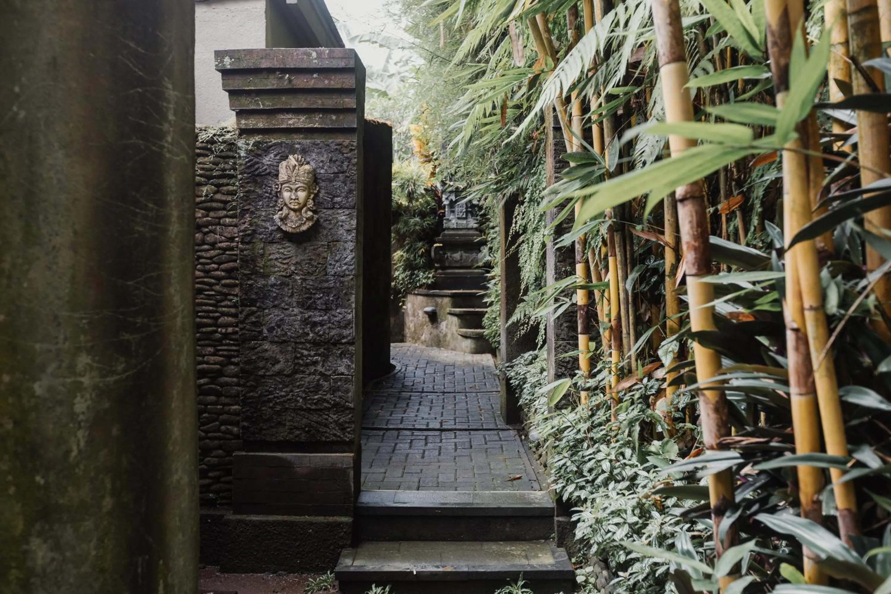 Garden in The Iyang Ubud
