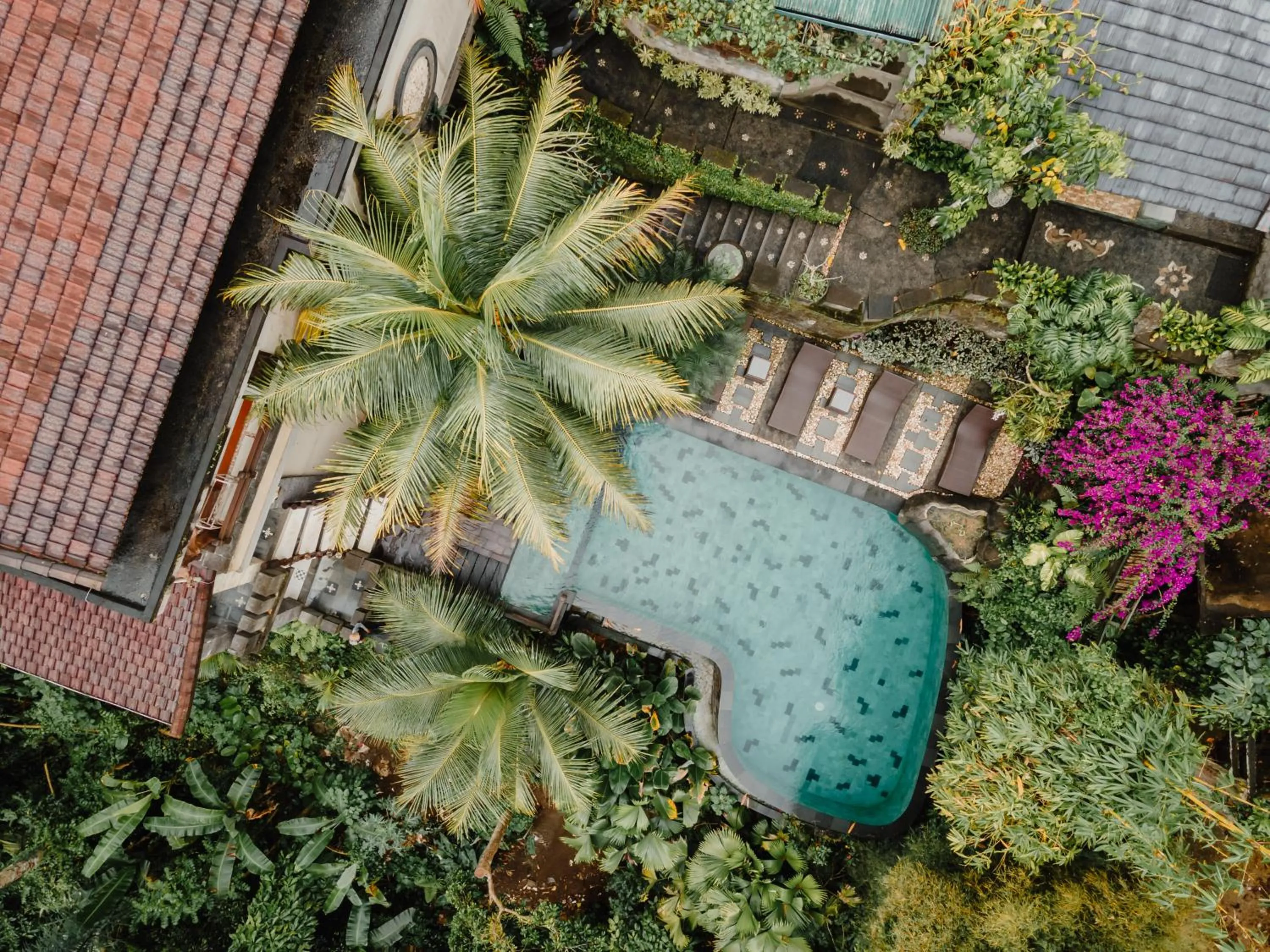 Pool view in The Iyang Ubud