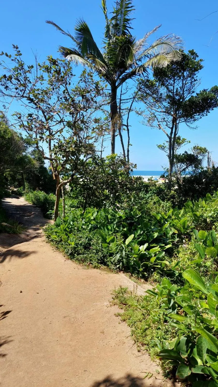 Hiking in Pousada Container Eco Guarda