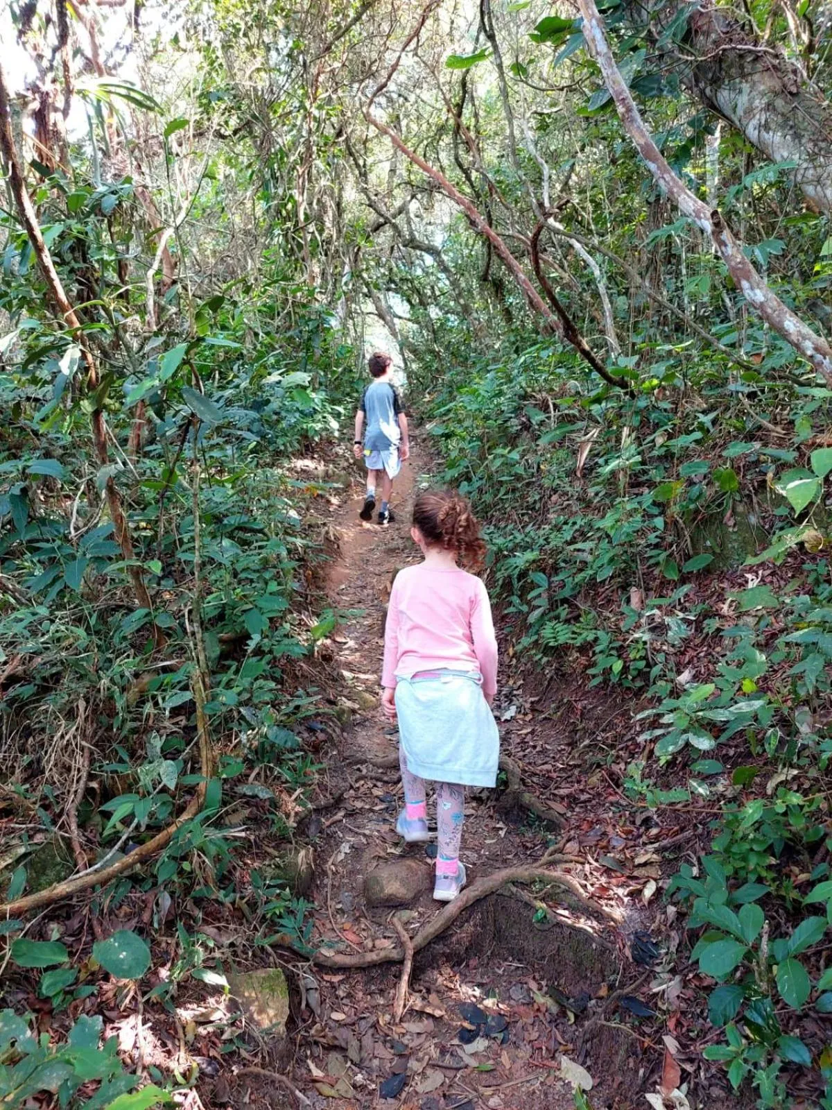 Hiking in Pousada Container Eco Guarda