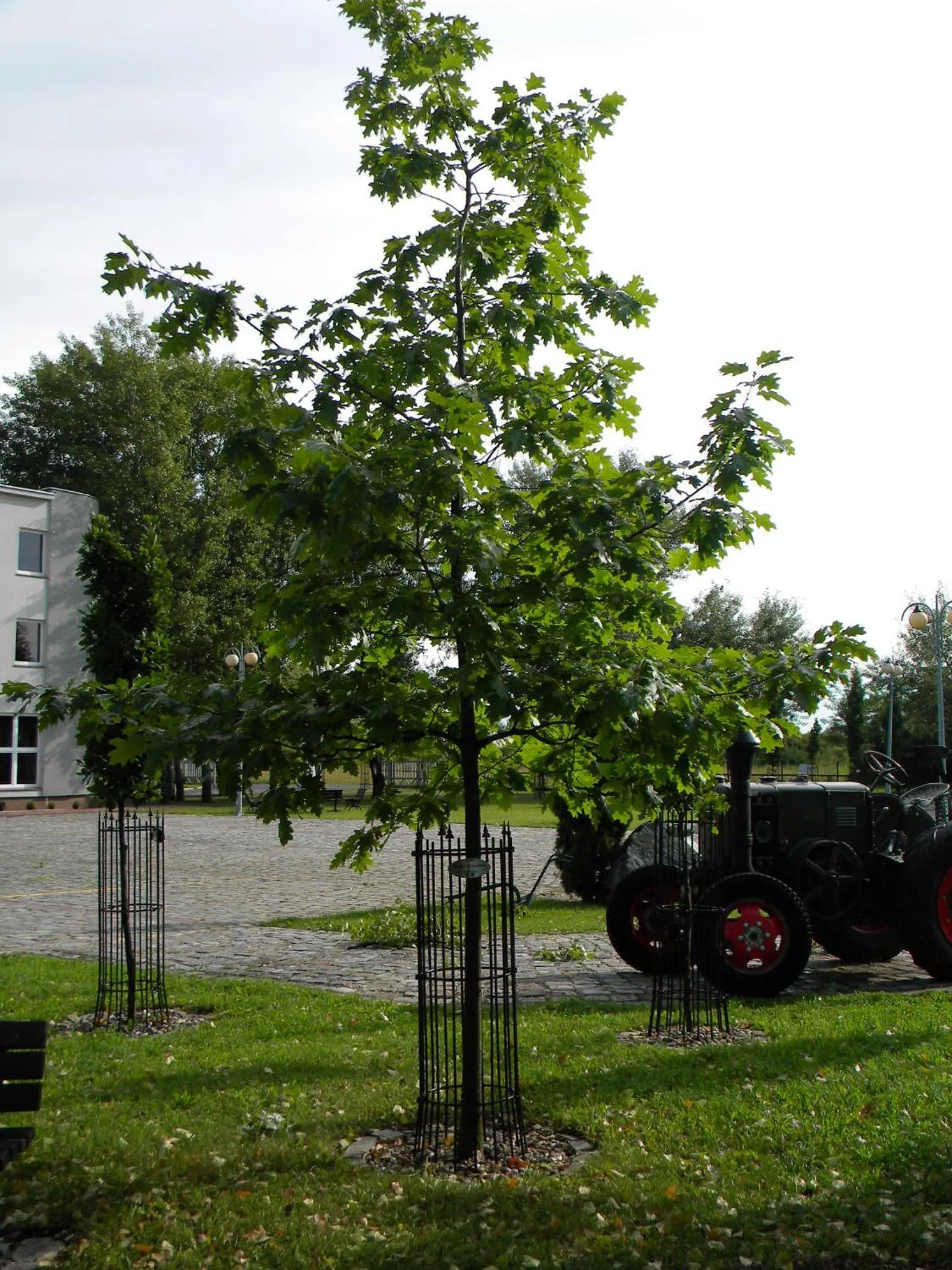Area and facilities in Hotel Kosmonauty Wrocław-Airport