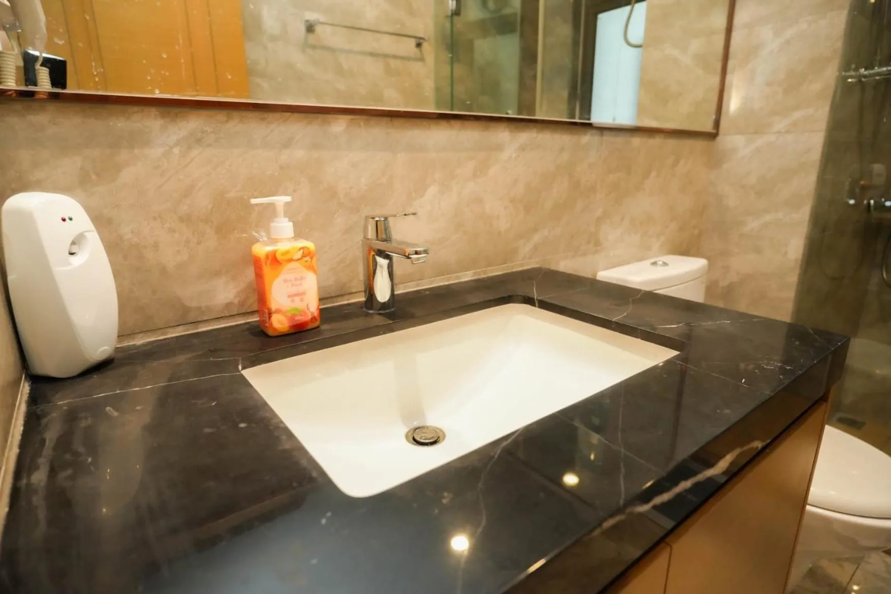 Toilet in R&F Princess Cove, U-Home