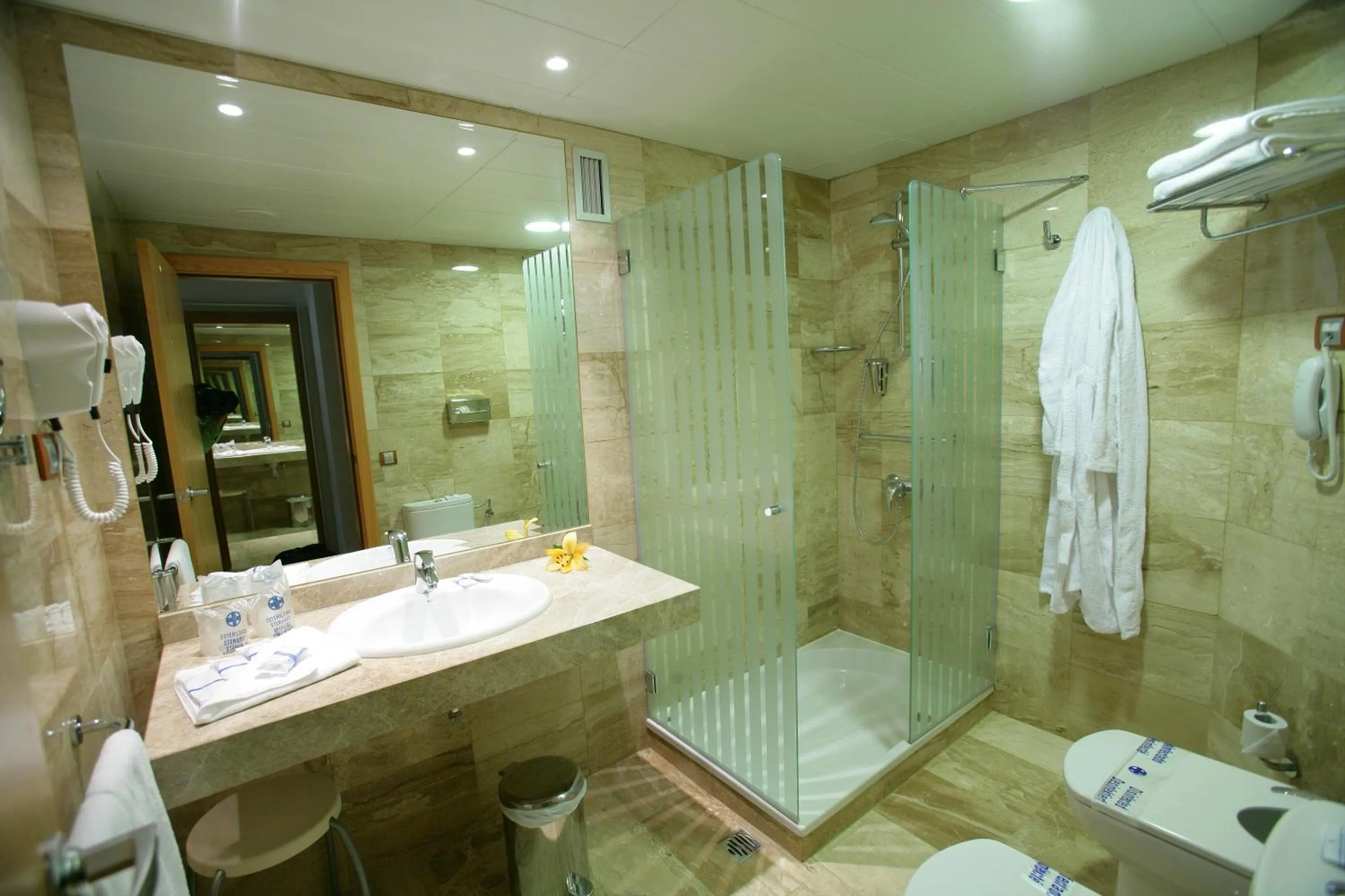 Toilet in Exe Las Palmas