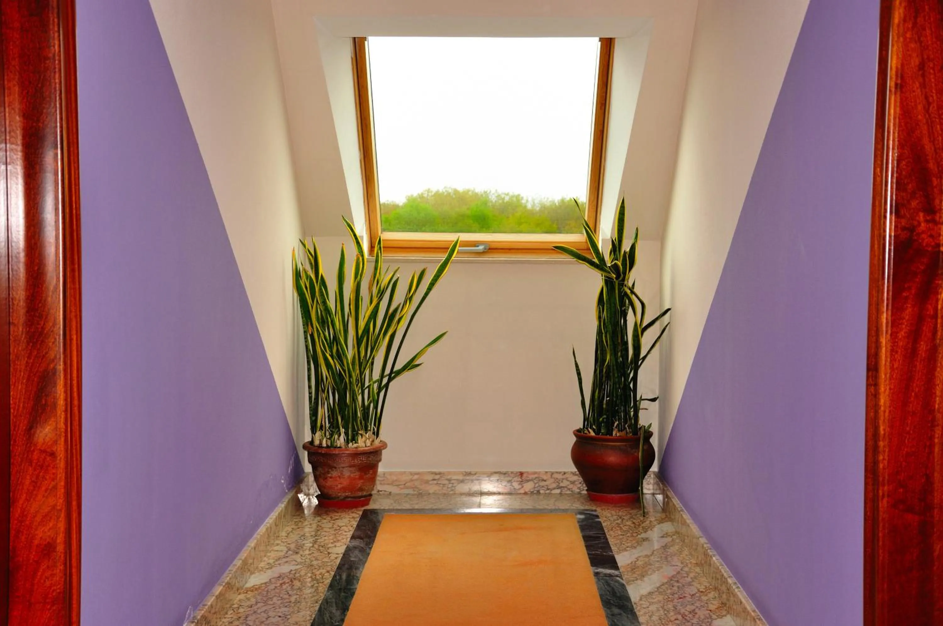 Property building in Hotel Castro