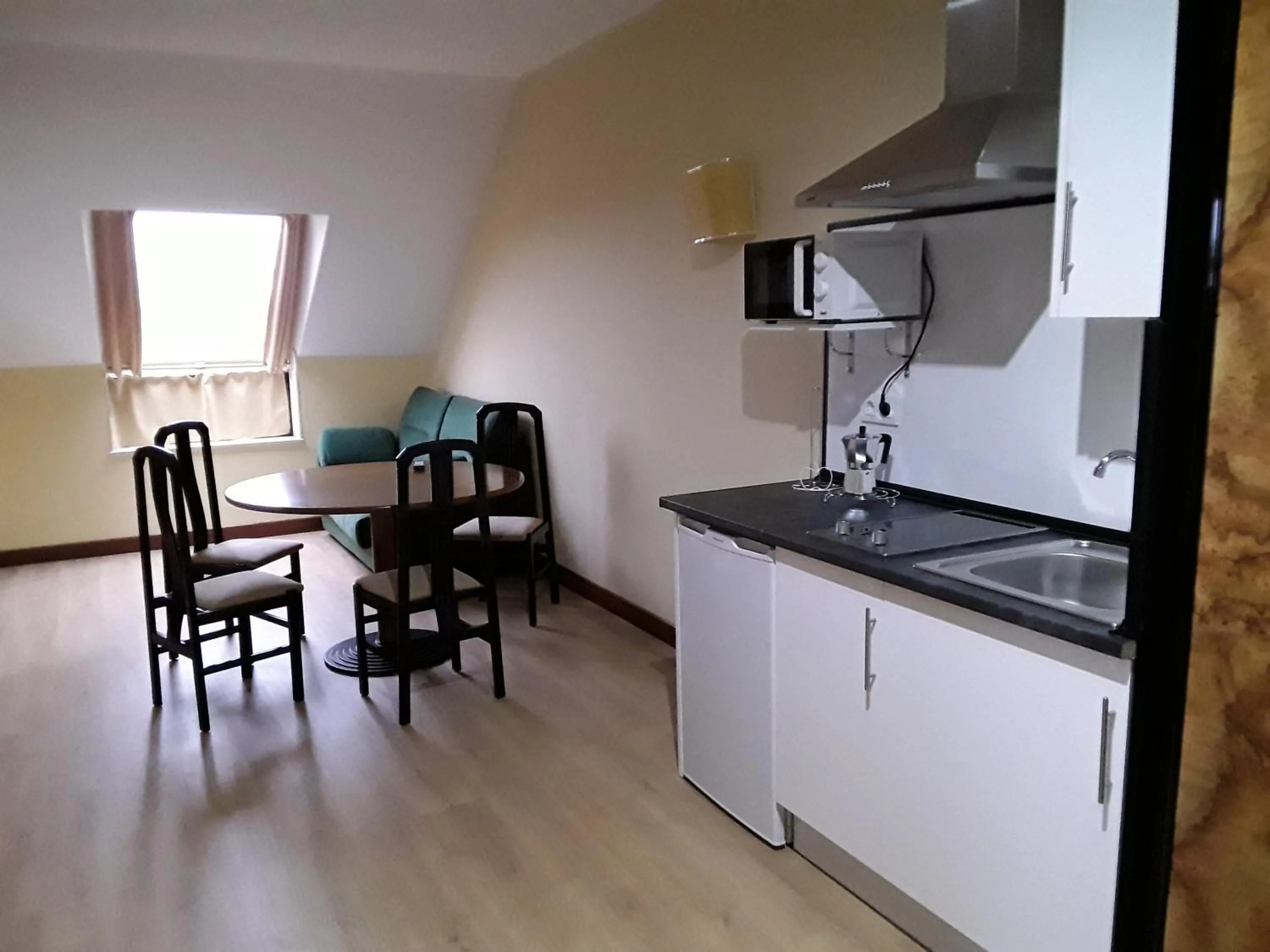 Kitchen or kitchenette in Hotel Castro