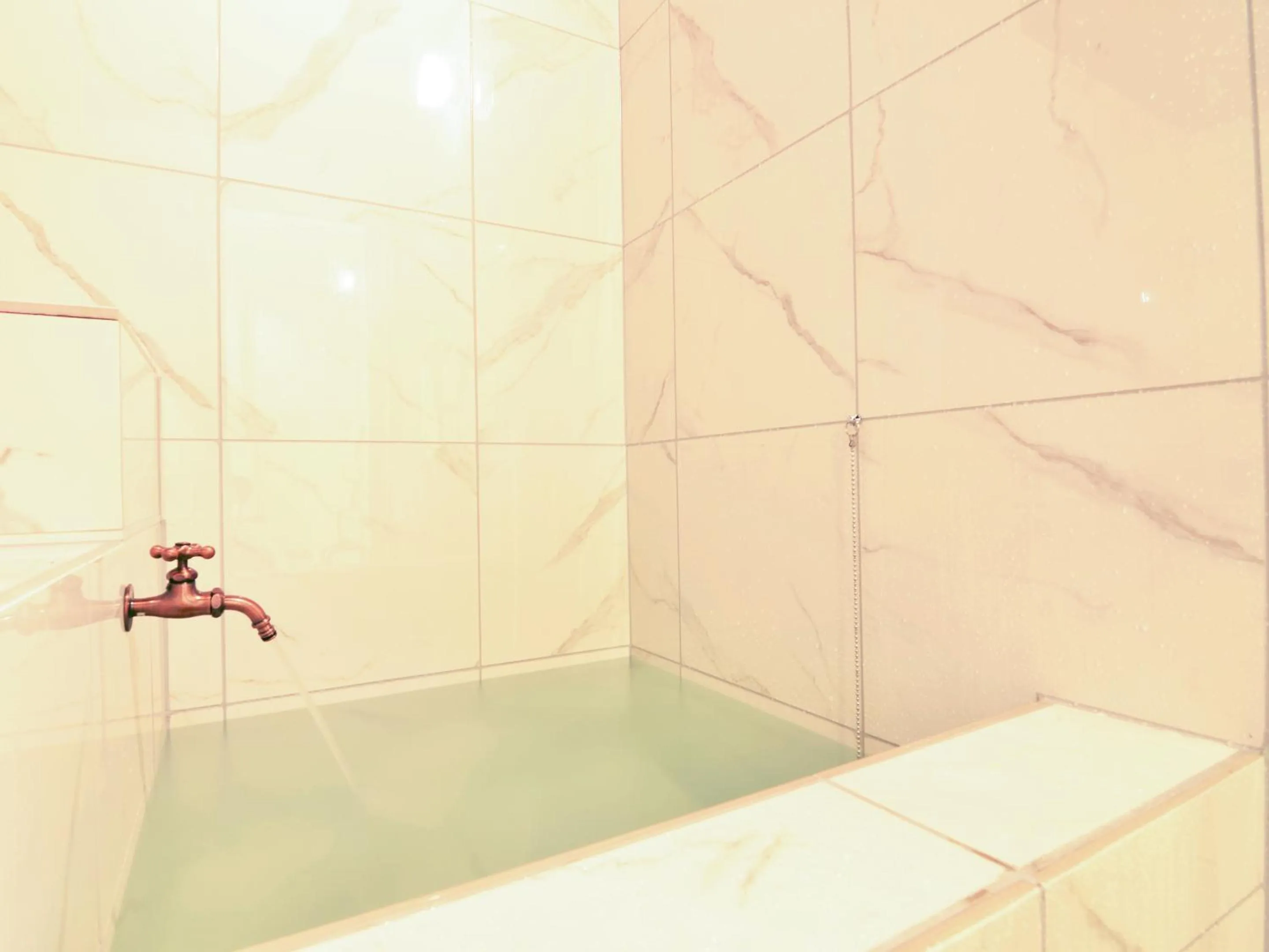 Hot Spring Bath in Totonoinoyado Shuntouan