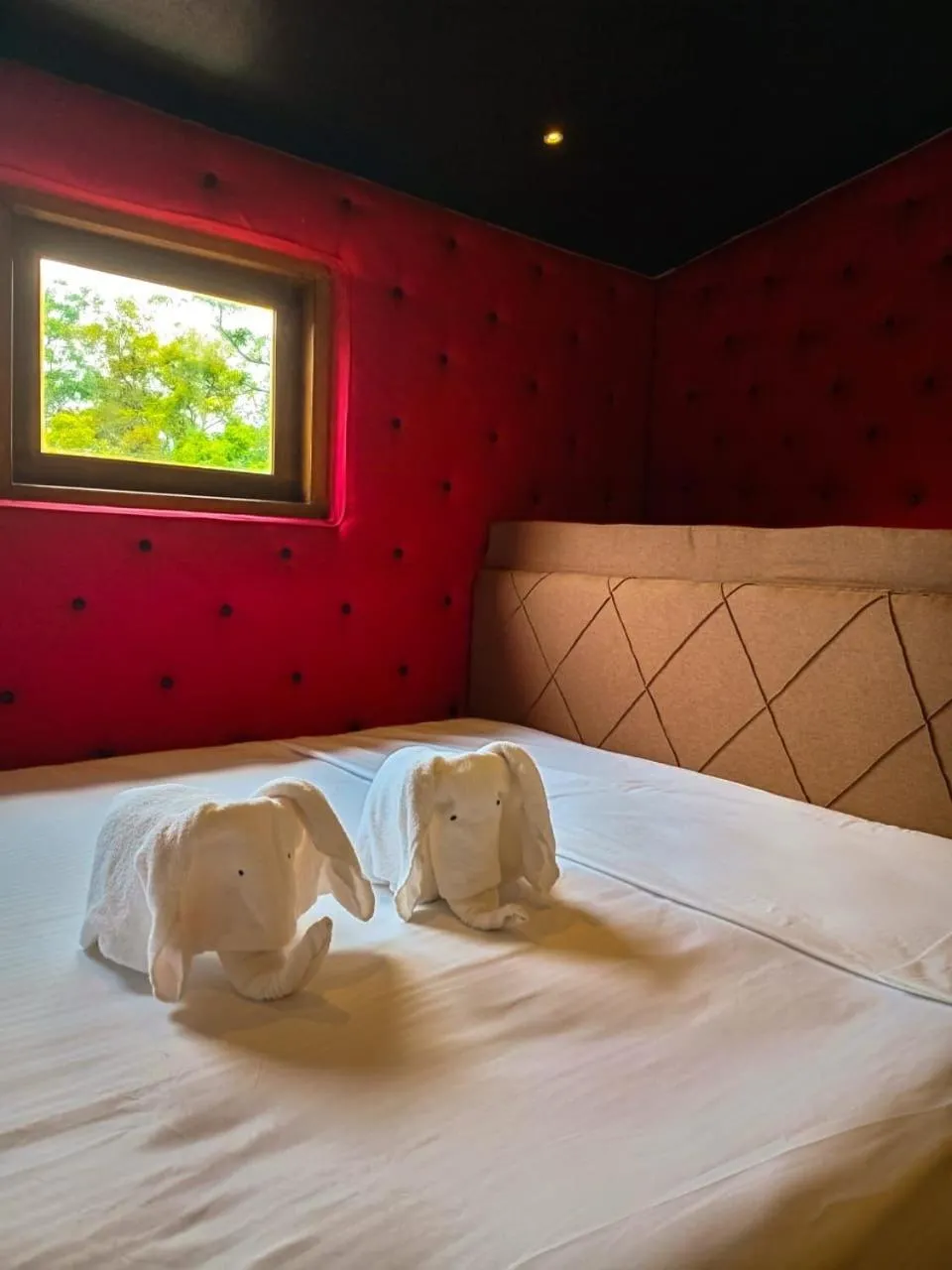 Bed in Coffee House Resort Dambulla,Sigiriya