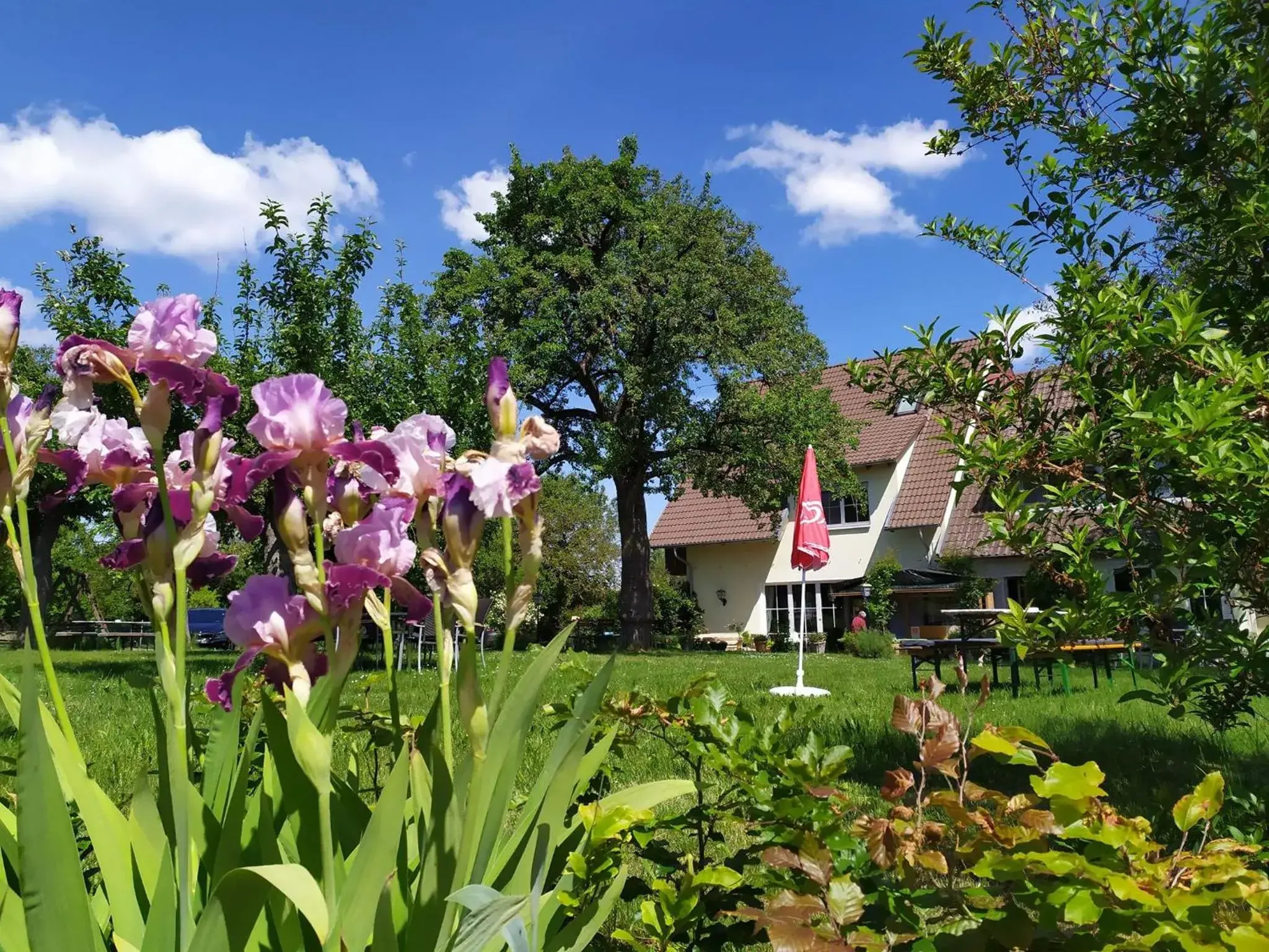 Landgasthof zum Rappen Landgasthof zum Rappen