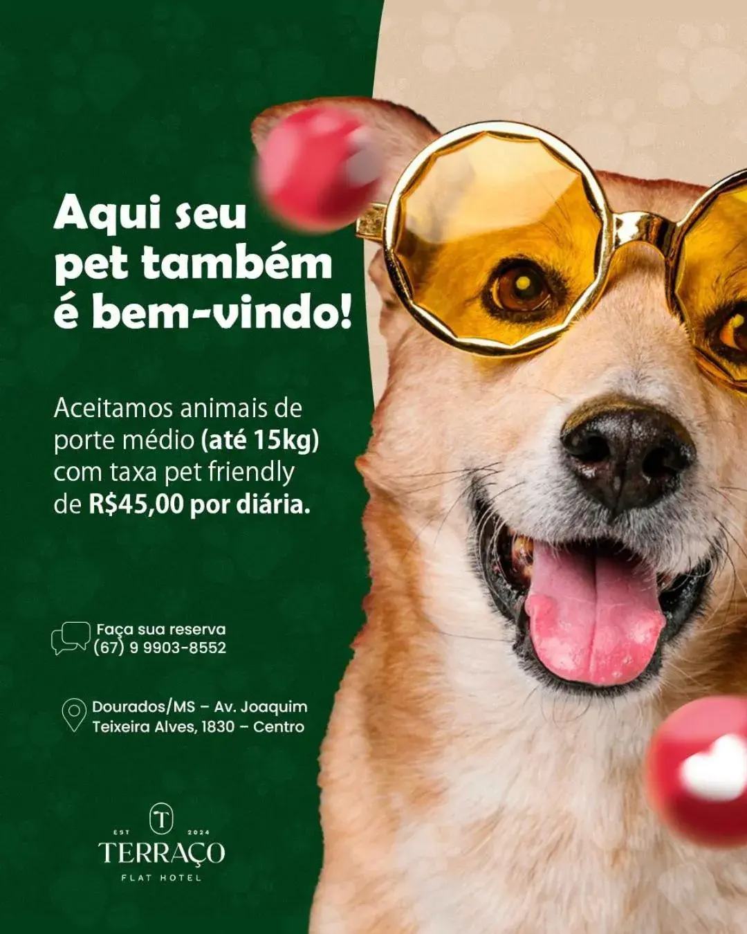 Double Room - single occupancy in Terraço Flat Hotel Double Room - single occupancy in Terraço Flat Hotel