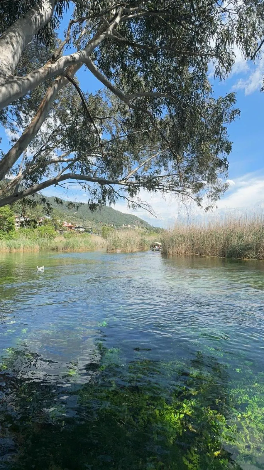 Natural landscape in The Dalaman Suites & Pansiyon Dalaman Airport 10 km