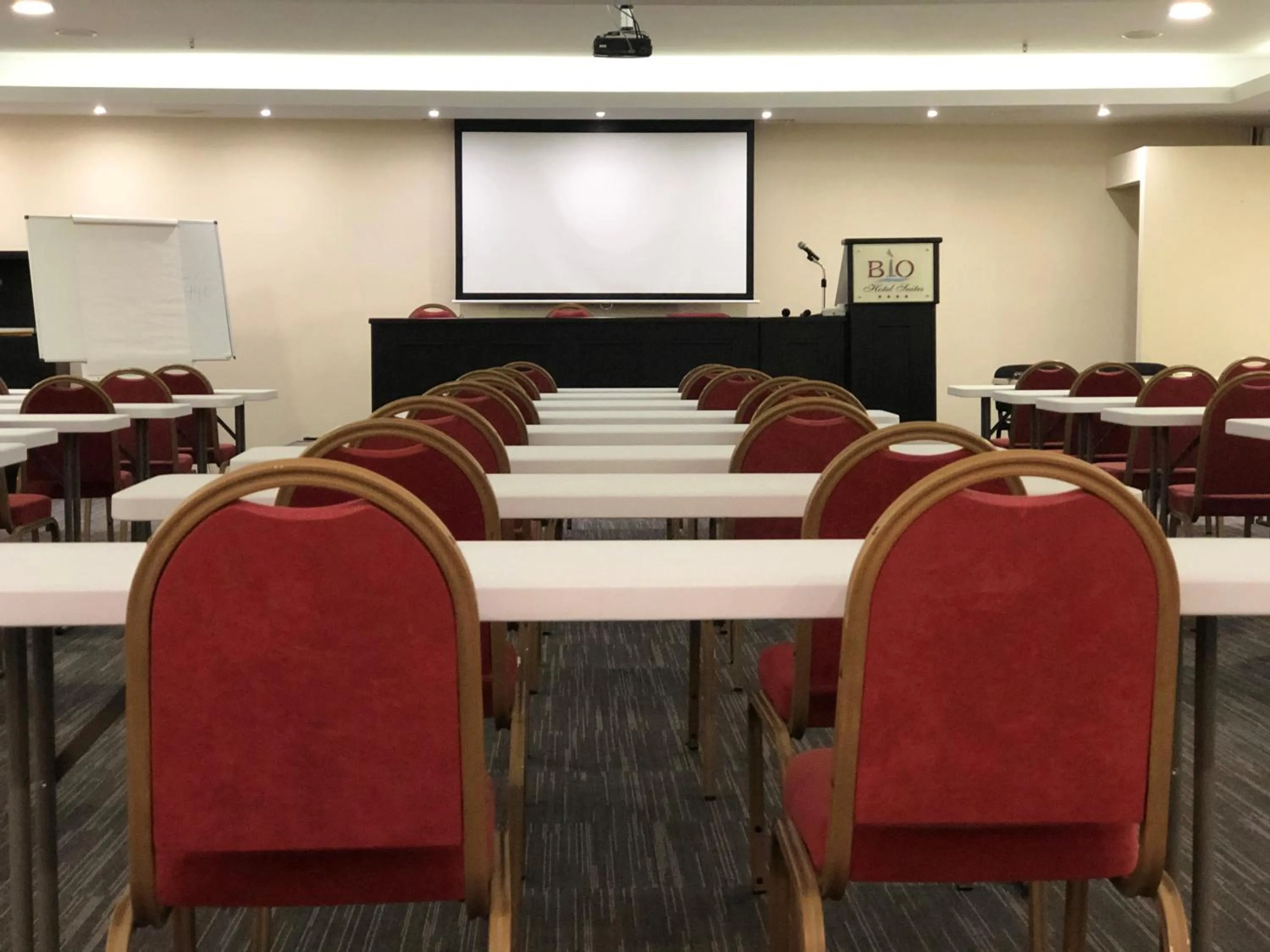 Meeting/conference room in Bio Suites Hotel & Spa