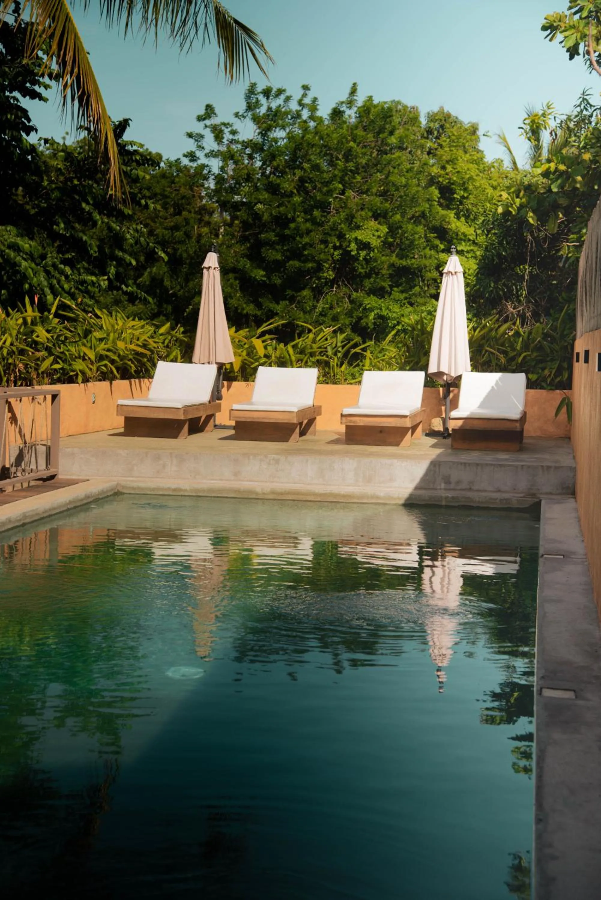 Swimming pool in Casa Marisa