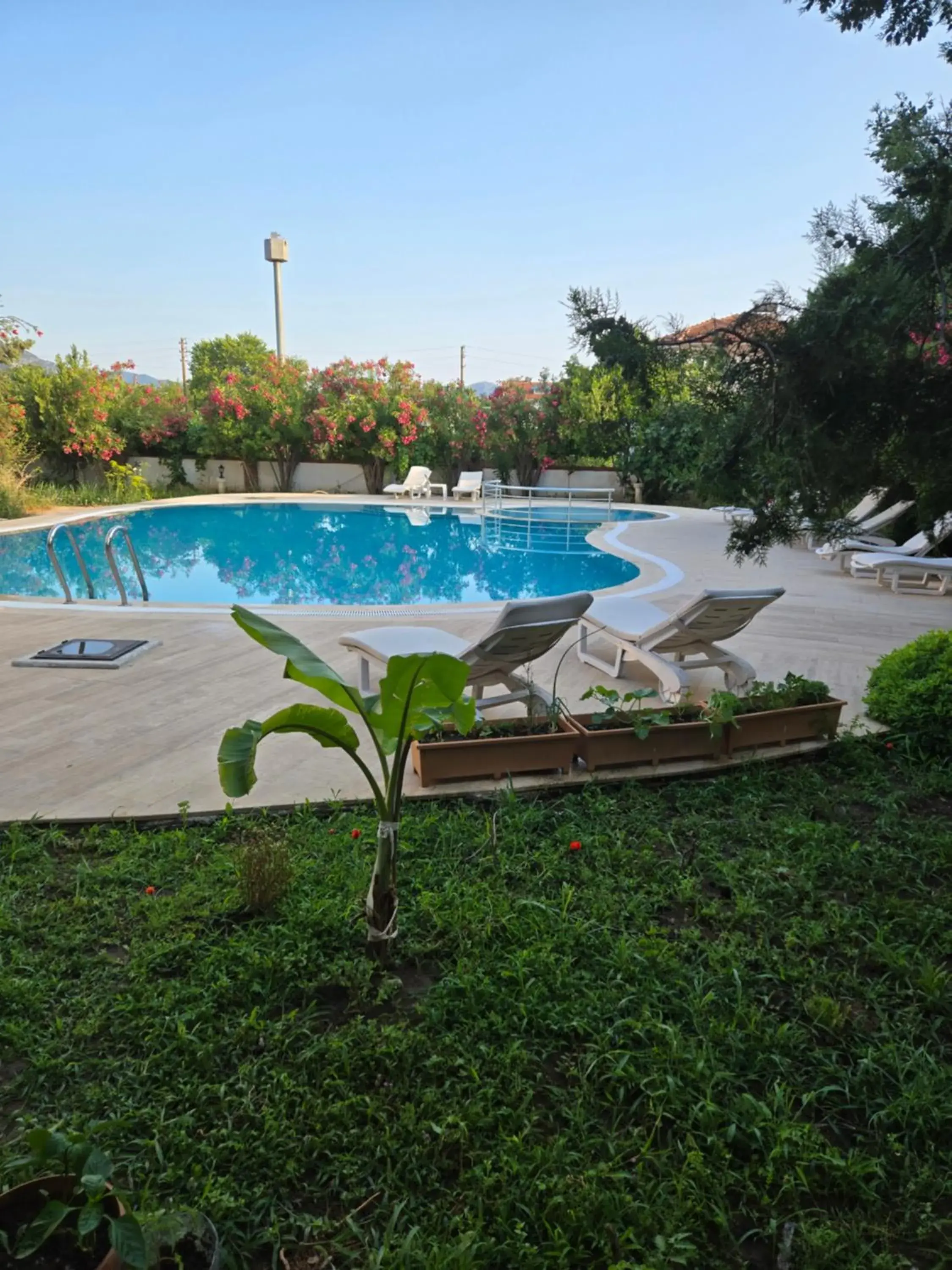 Angels Garden Dalyan Angels Garden Dalyan