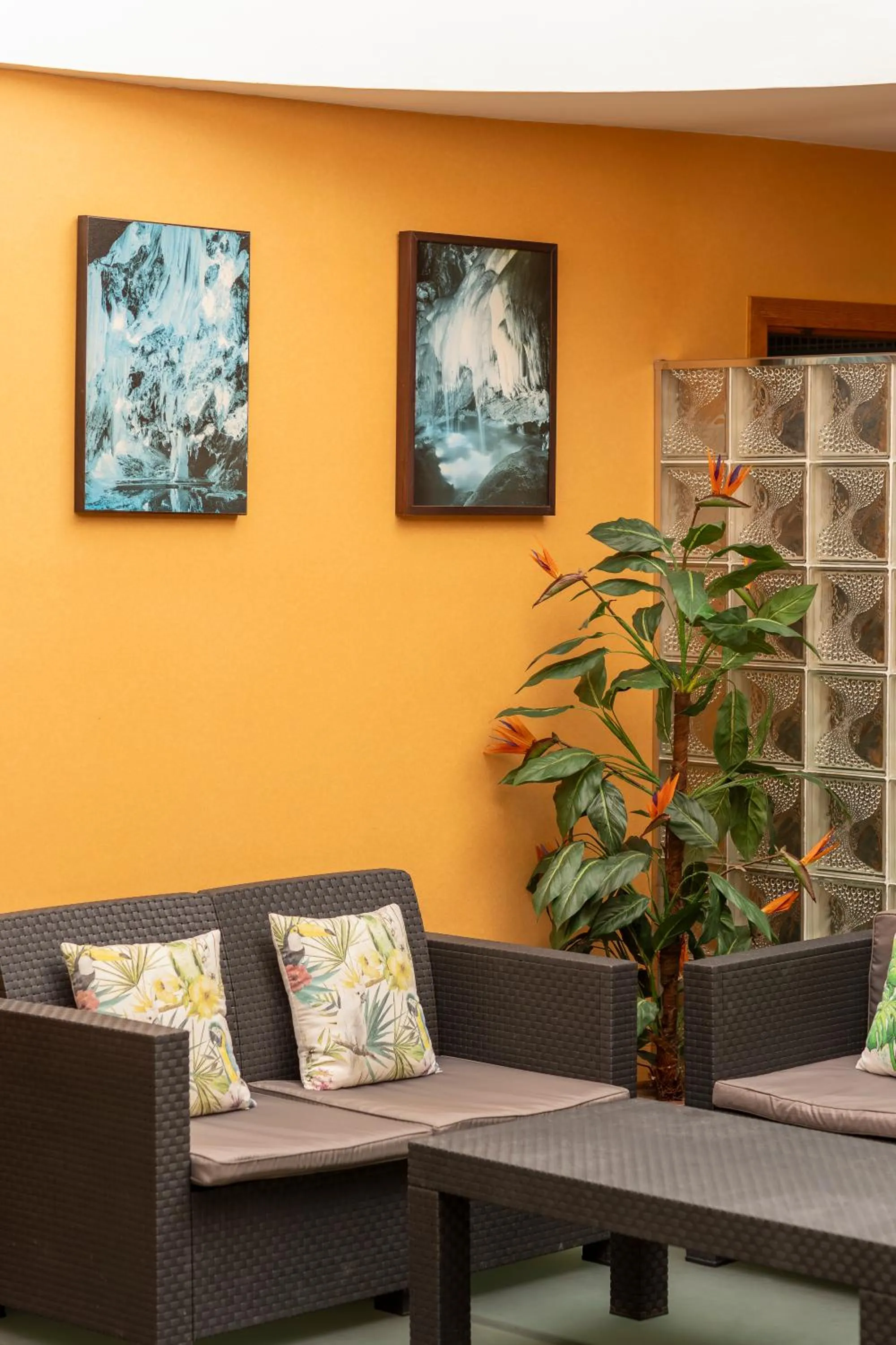 Area and facilities in Moon Dreams Calabahía