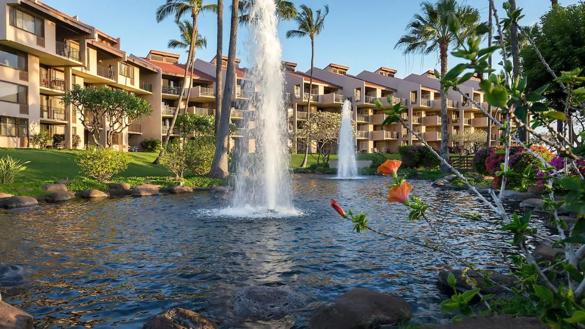 Other in Kamaole Sands