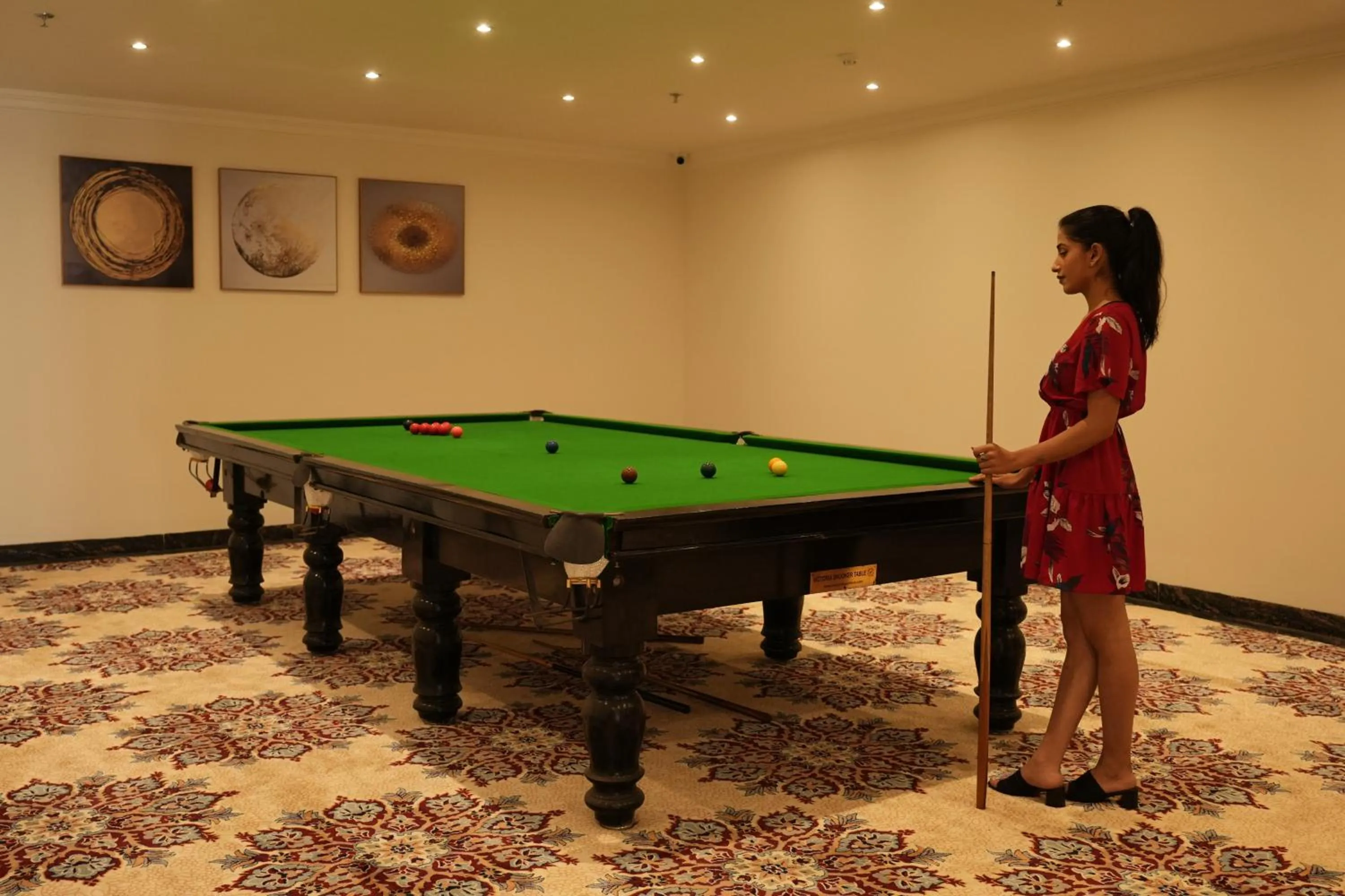 Game Room in The Belvedere Kasauli