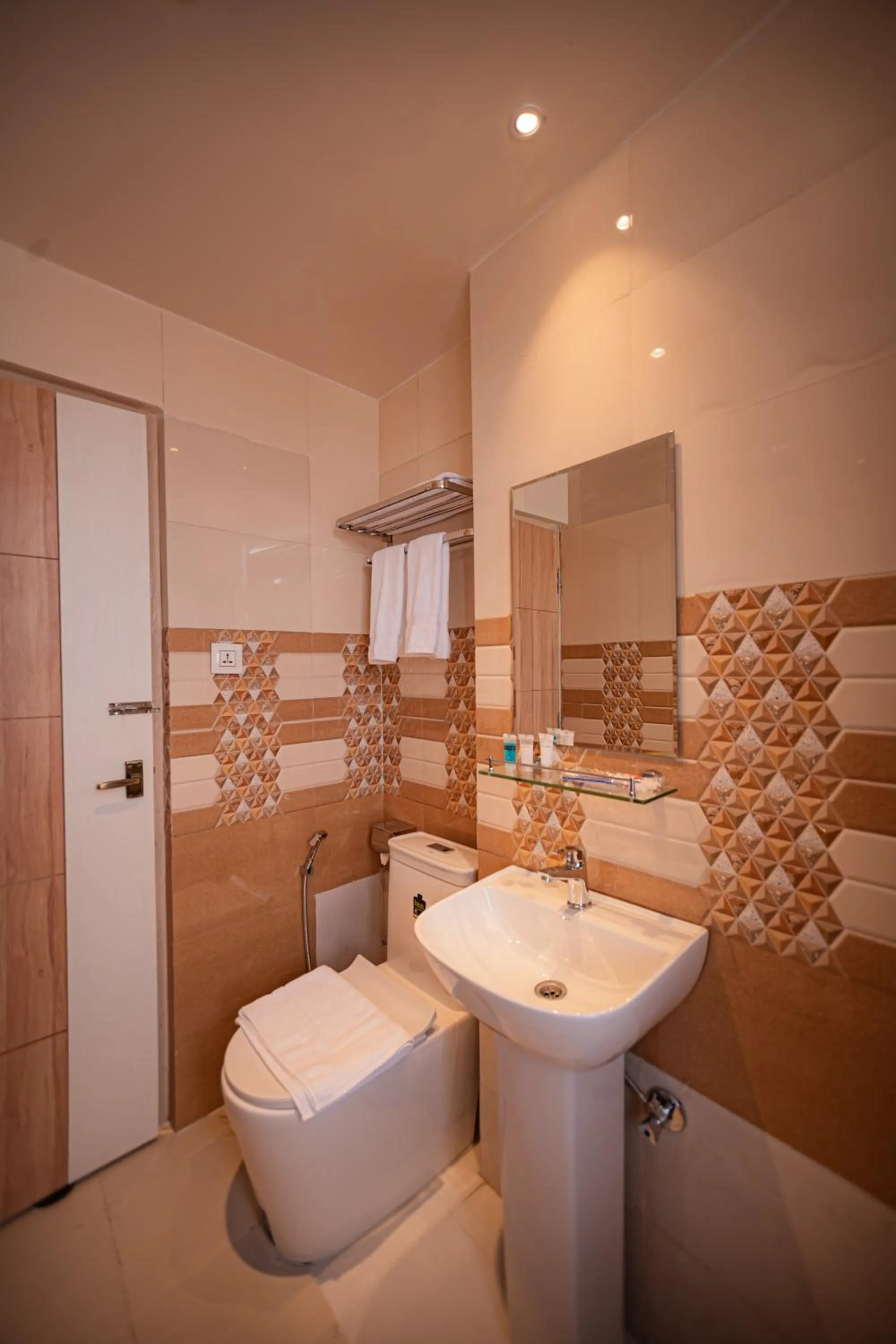 Shower in Hotel Vistara