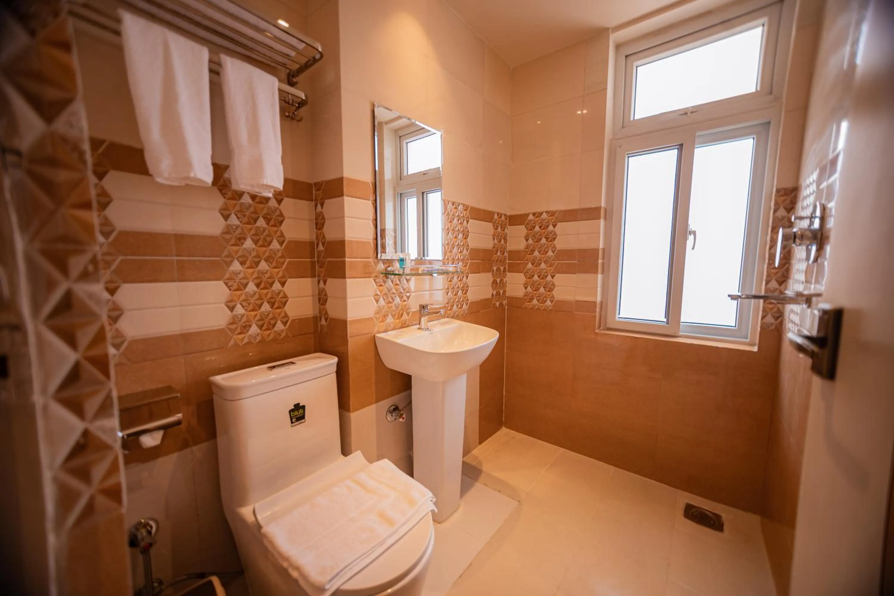 Bathroom in Hotel Vistara