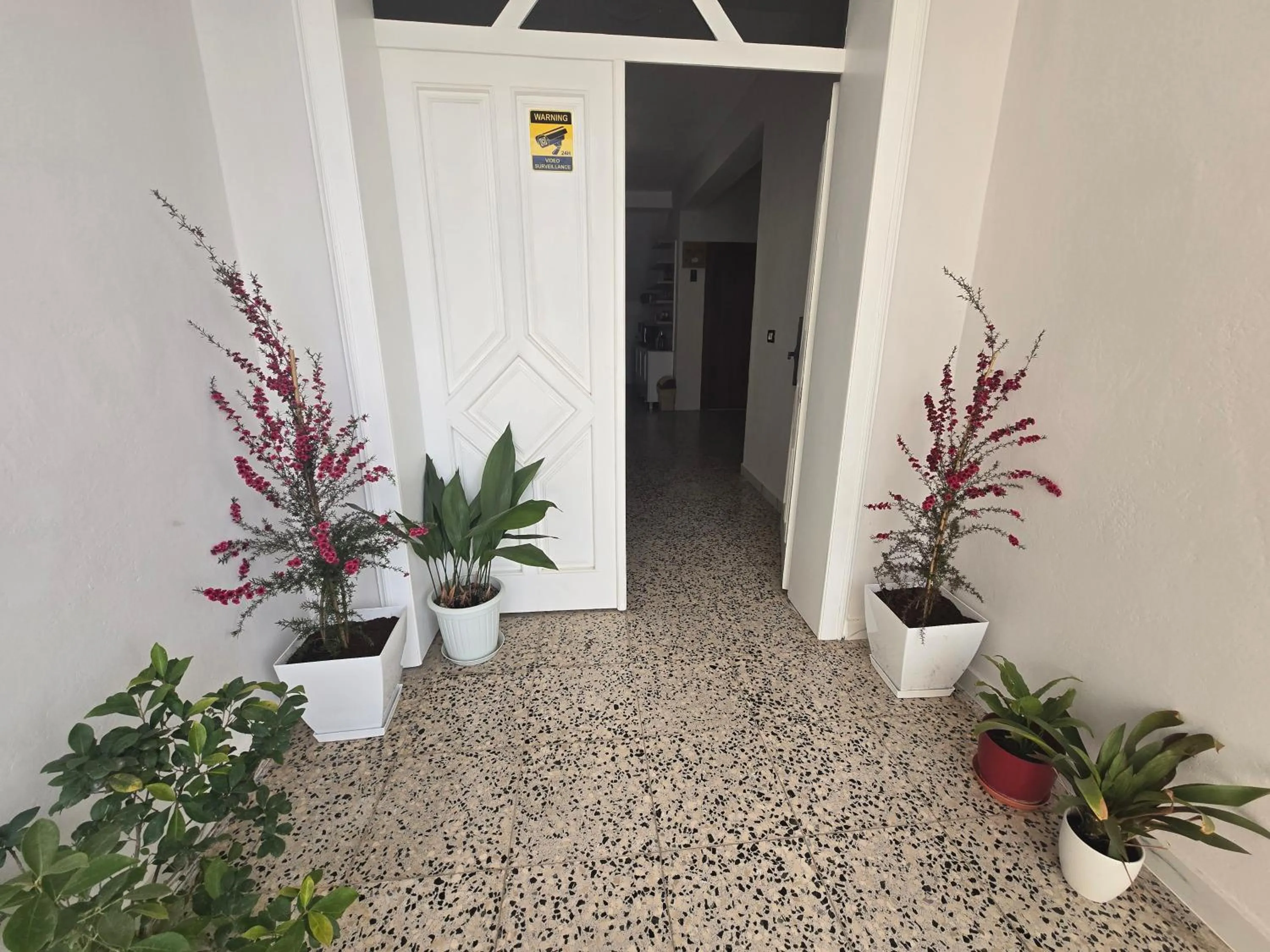 Property building in Hotel Aleks