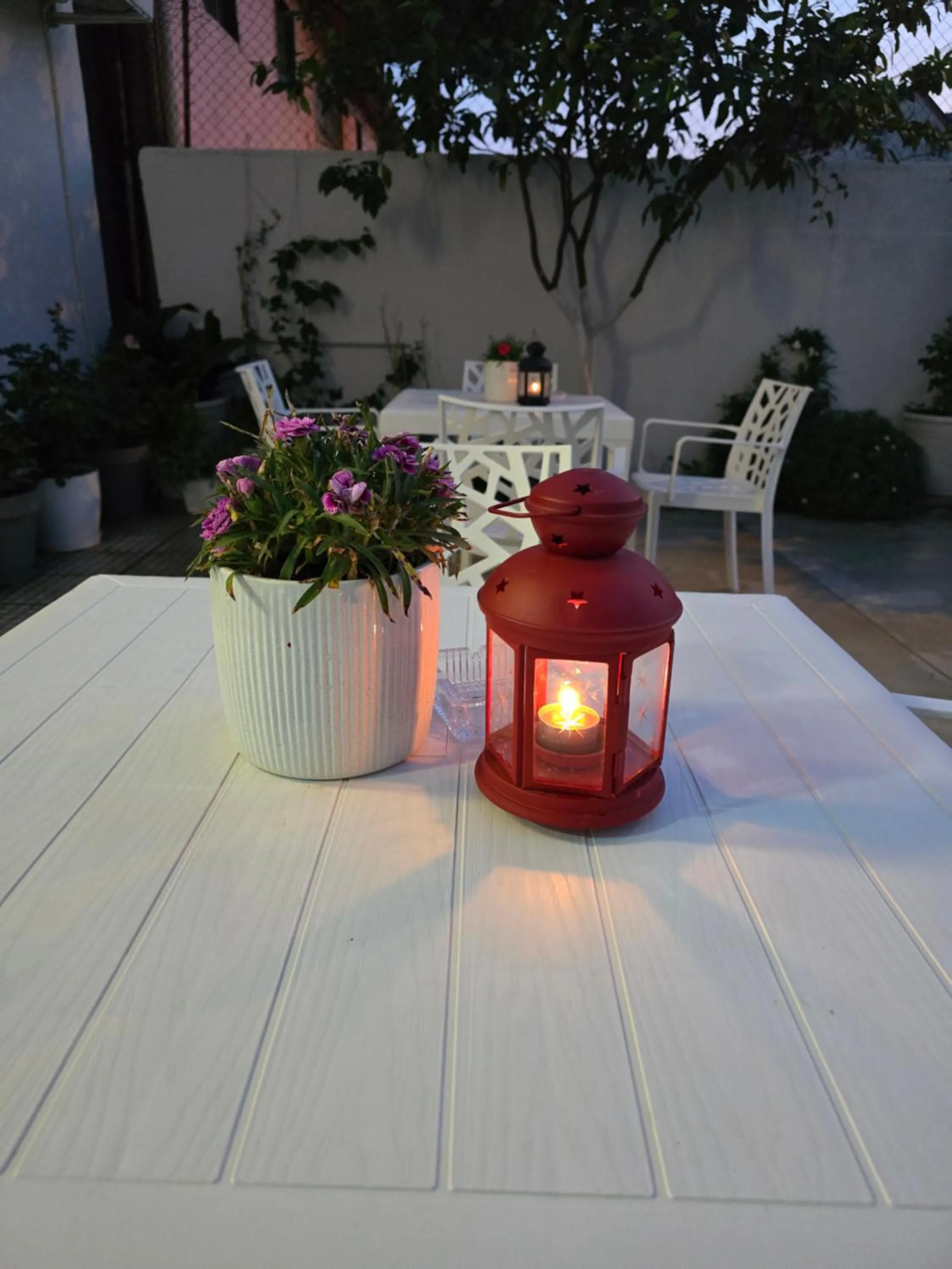 Patio in Hotel Aleks