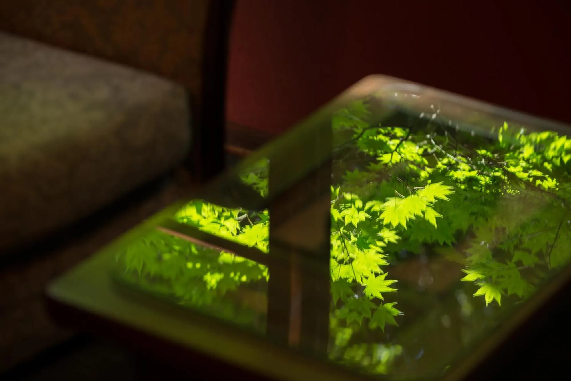 Other in Araya Totoan