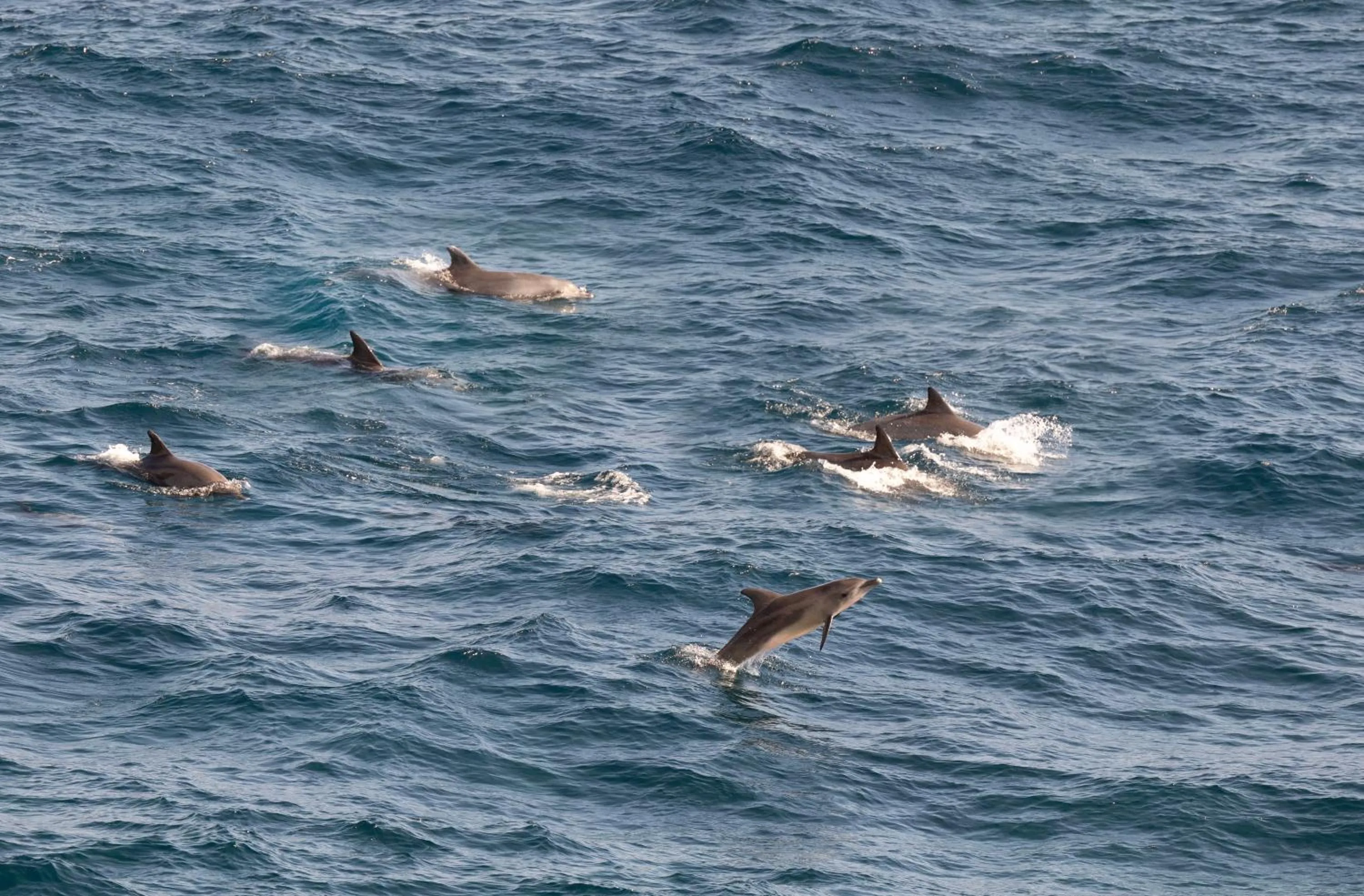 Other in ARNA Suites and Ocean Lounge