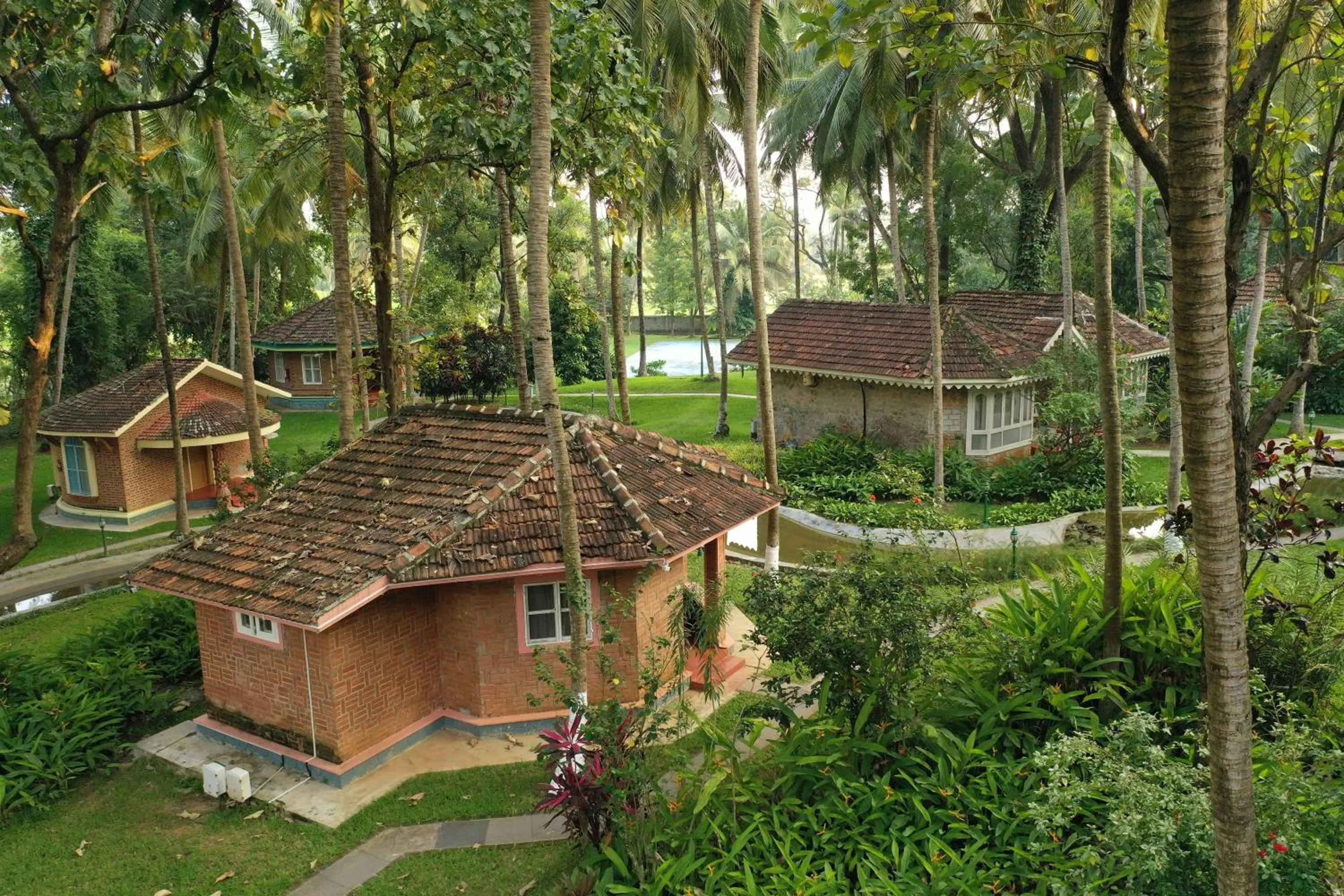 Bird's eye view in Kairali - The Ayurvedic Healing Village