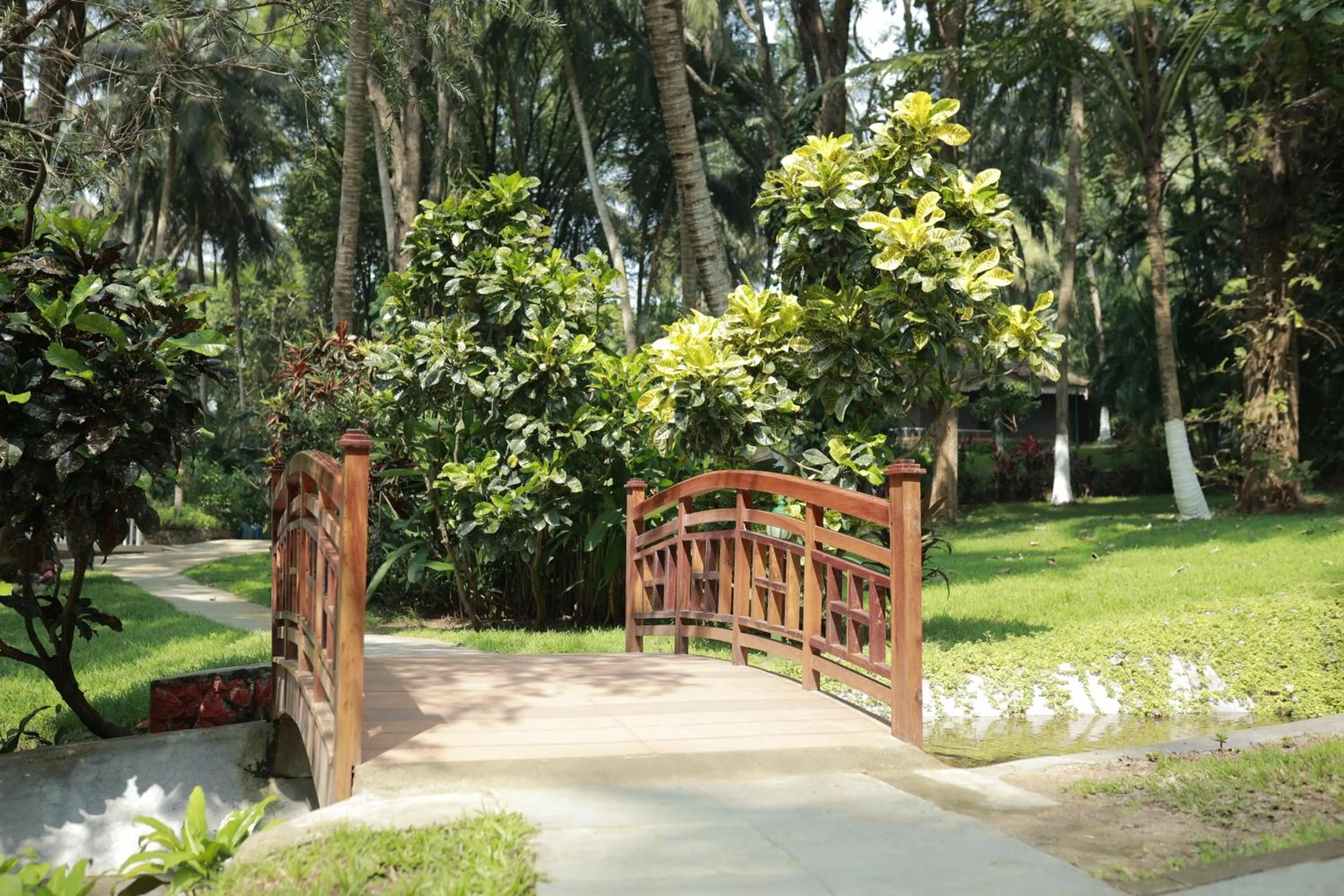 Garden in Kairali - The Ayurvedic Healing Village