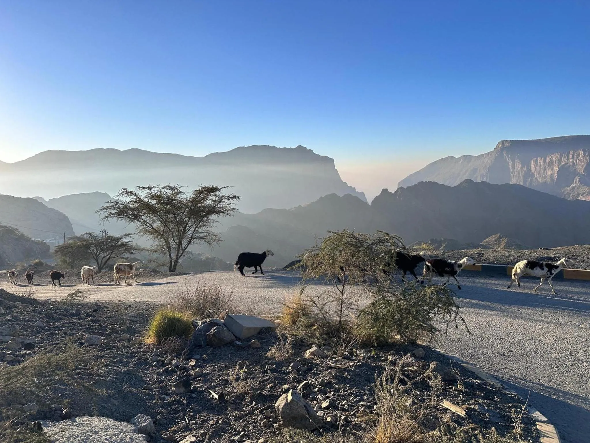 Area and facilities in Hotel Indigo Jabal Akhdar Resort & Spa by IHG