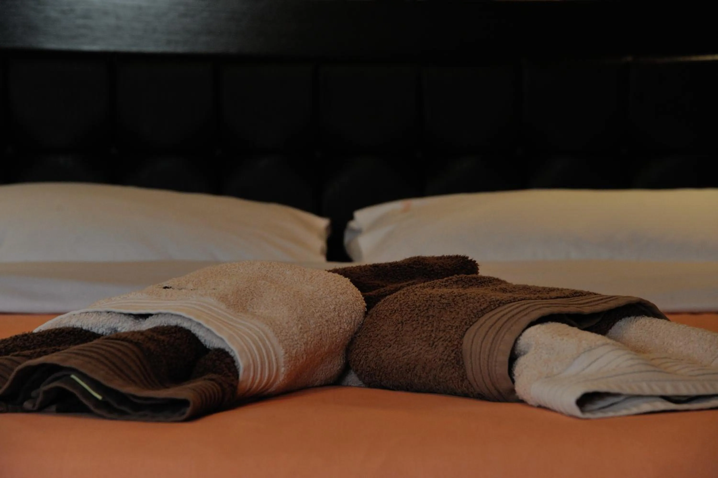 Decorative detail, Bed in Enastron