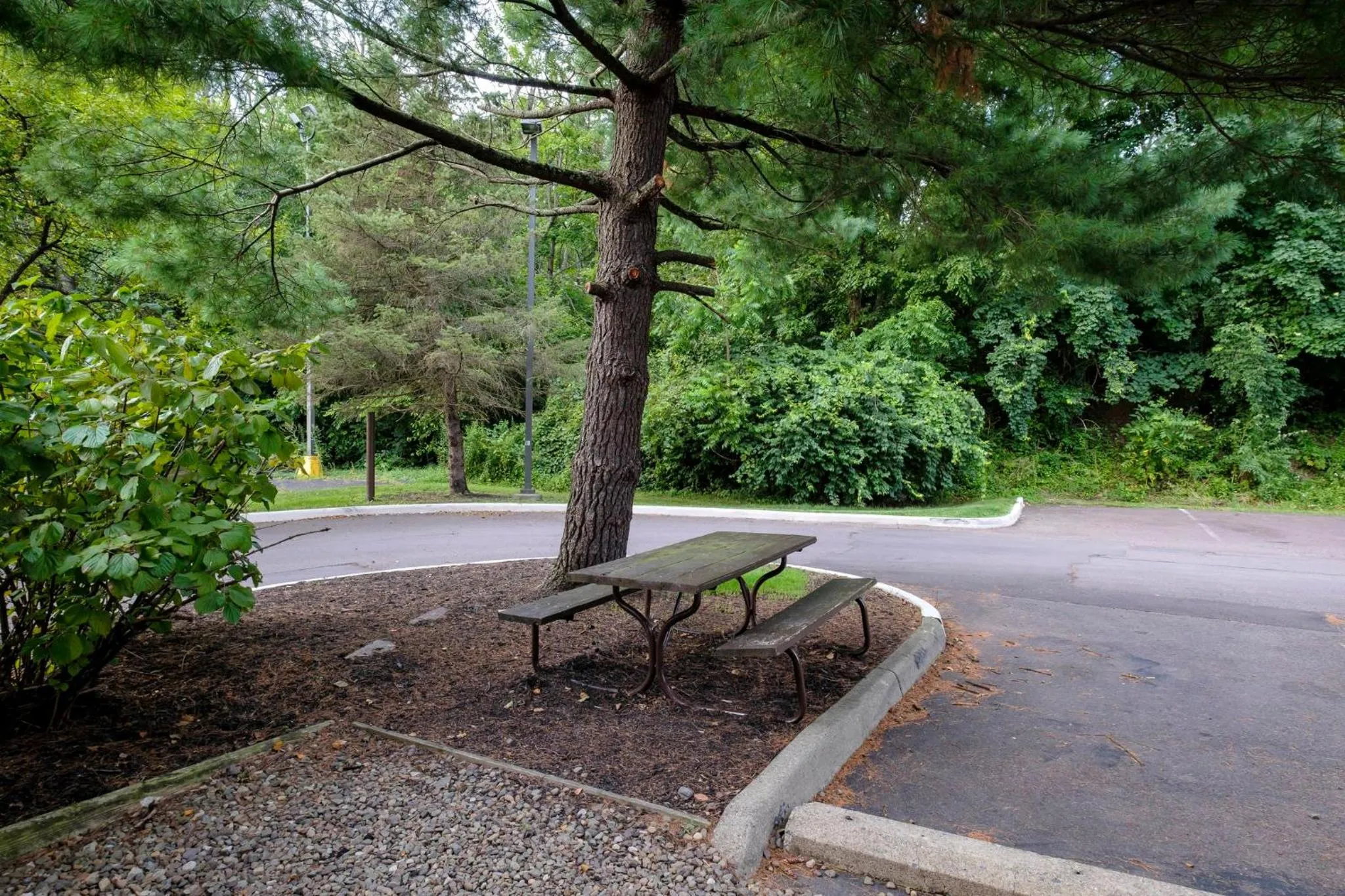 BBQ facilities in HomeTowne Studios by Red Roof Danville, PA