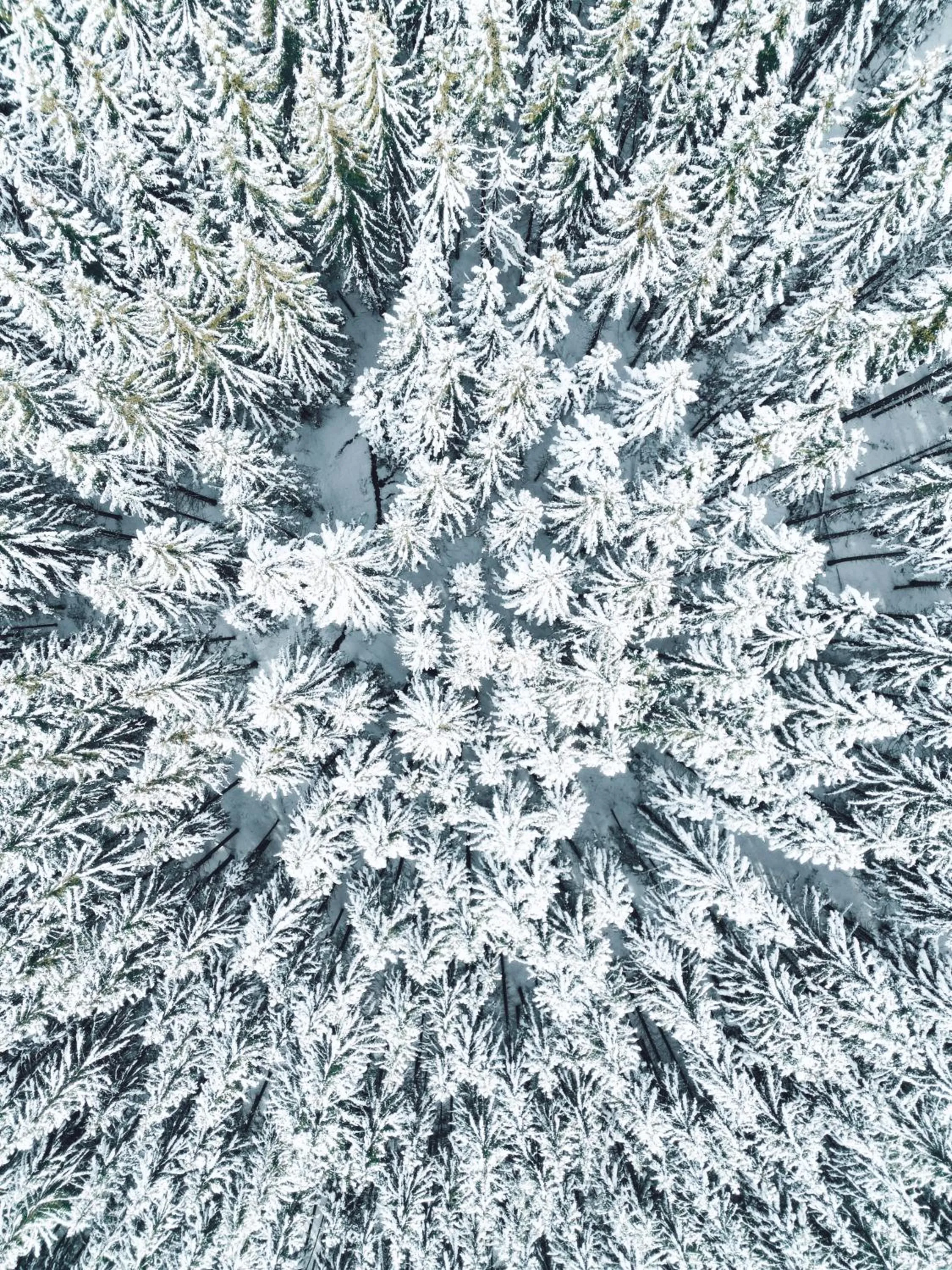 Natural landscape in SNÖ Hotel Candanchú