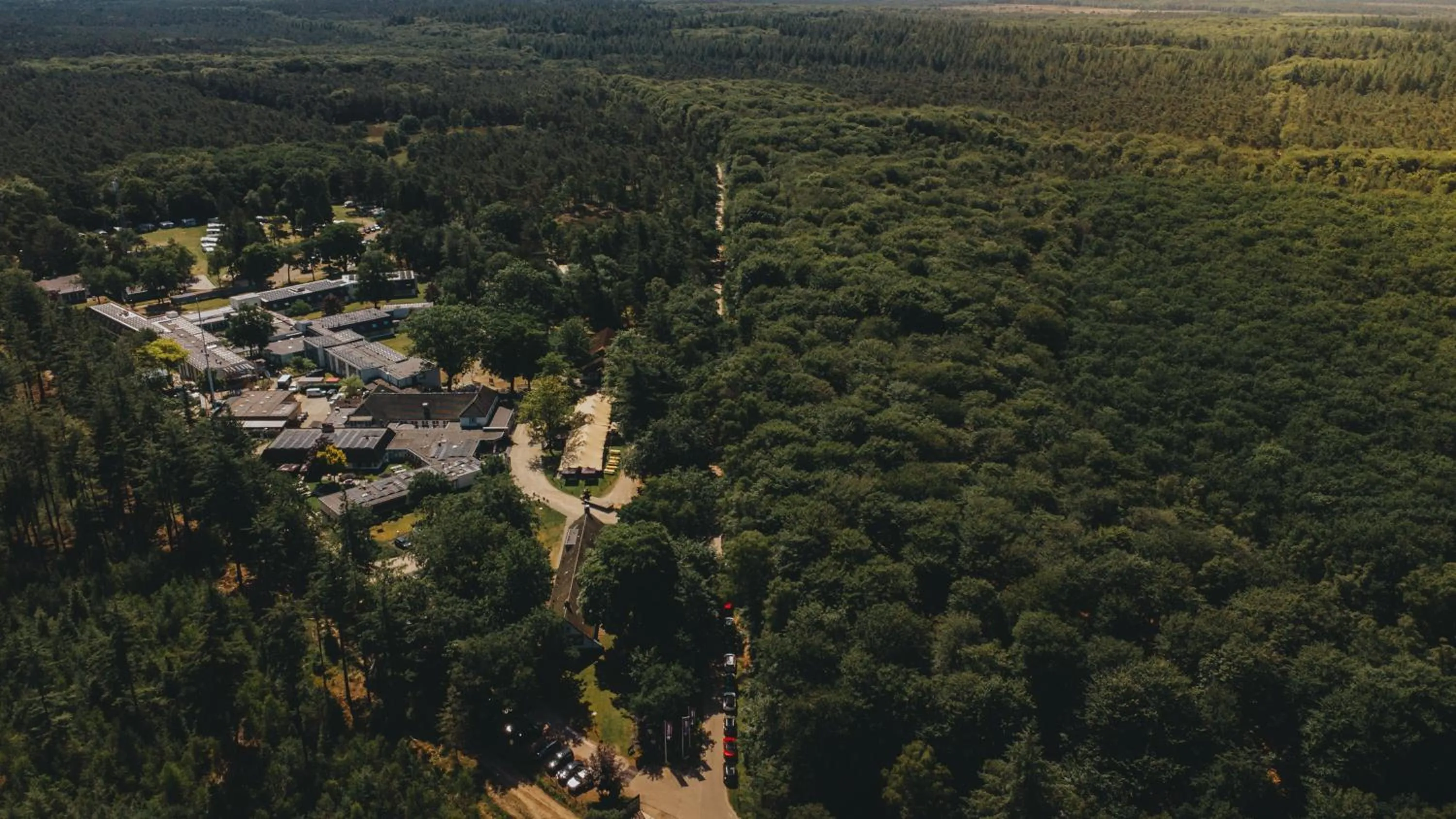 Natural landscape in Landgoed Mennorode