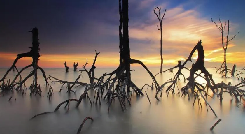 The Breeze Lipe Resort