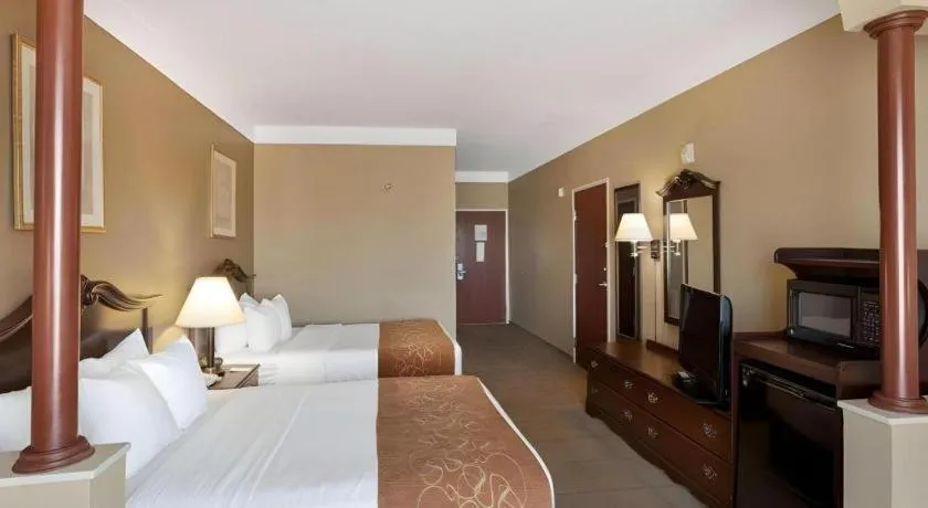 Bed in Comfort Suites Plainview