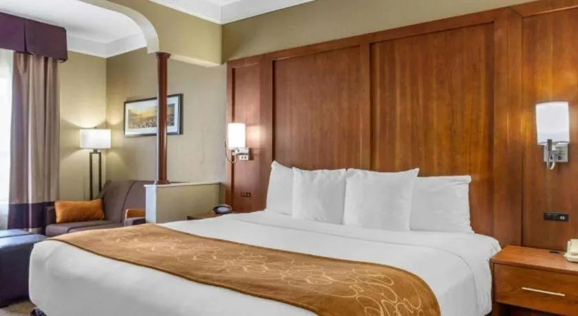 Bed in Comfort Suites Plainview
