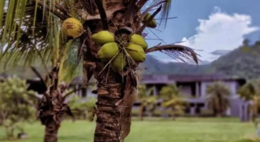 Avartarn Miracles Hotel