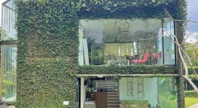 Tea Garden Resort