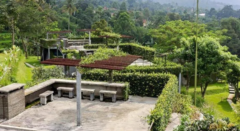 Tea Garden Resort