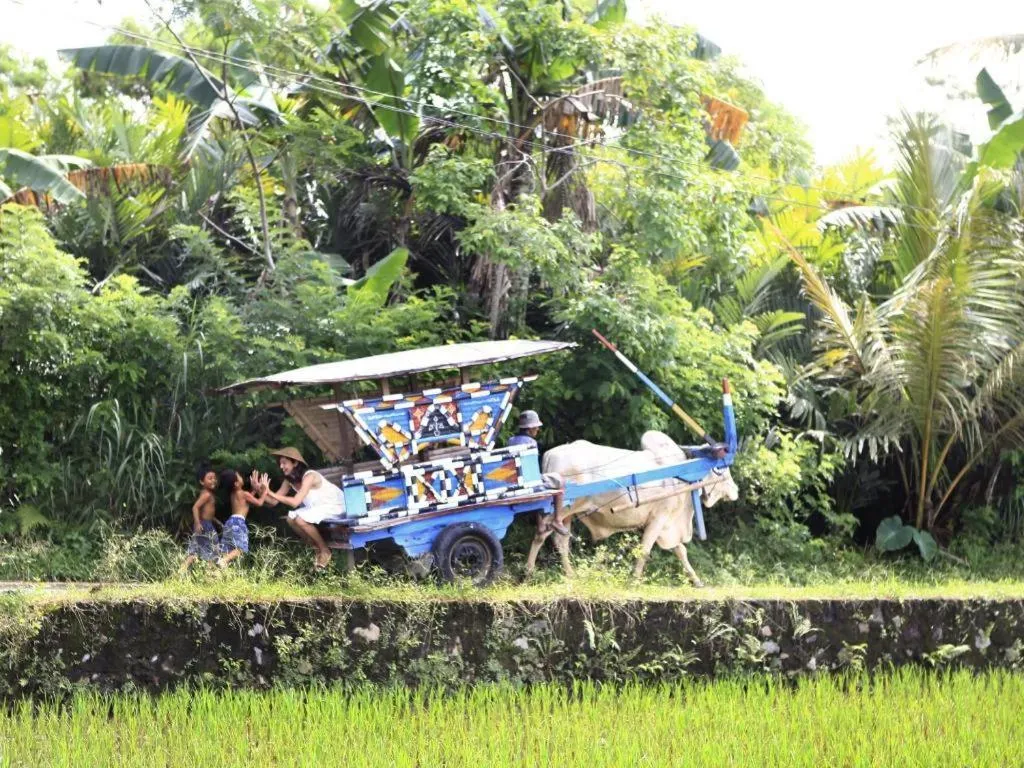 Sambi Resort, Spa & Resto