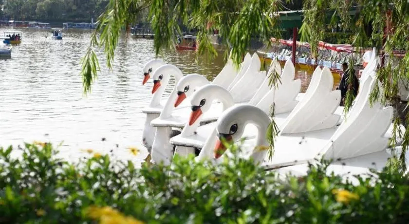 Mountain Lodge Hotel and Restaurant