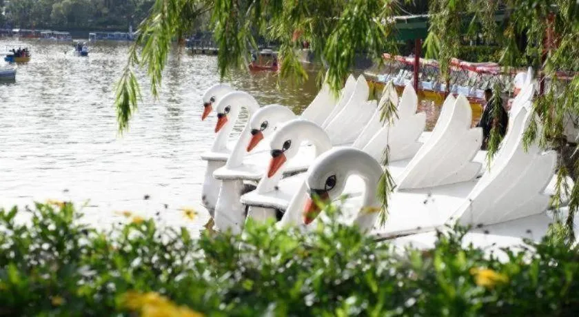 Mountain Lodge Hotel and Restaurant