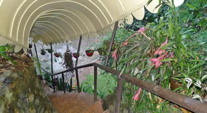 Mountain Lodge Hotel and Restaurant